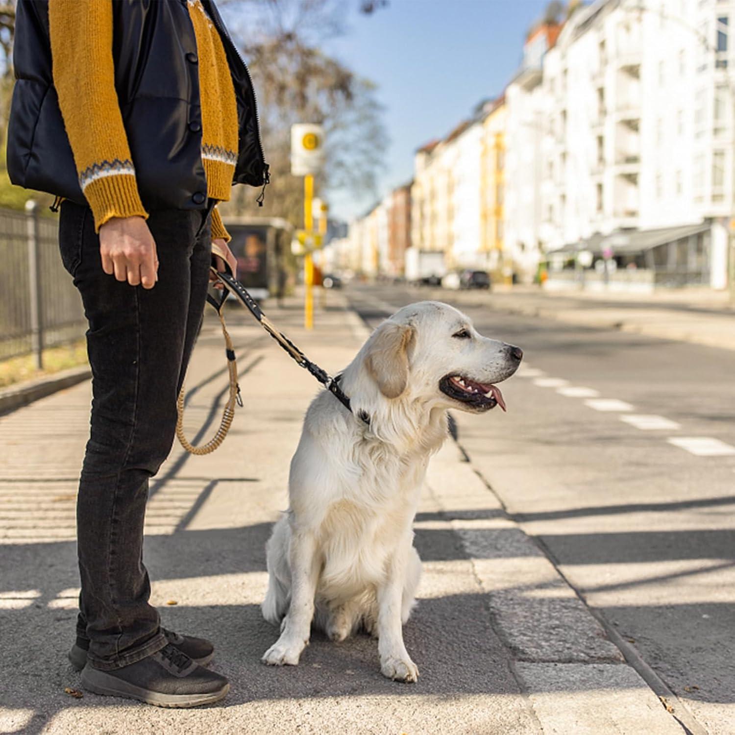 Correa de Perro Táctica Bungee AIRUIDOG 1.22-1.83m Marrón