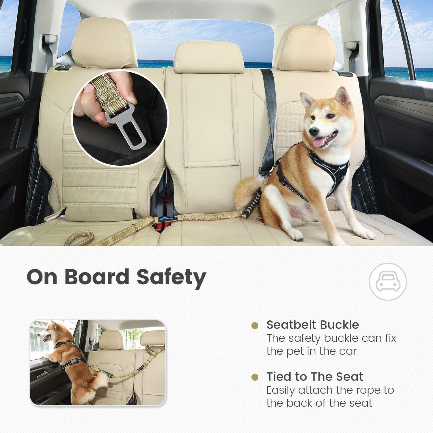 Correa Multifuncional para Perros IOKHEIRA Bungee 1.22-1.83m