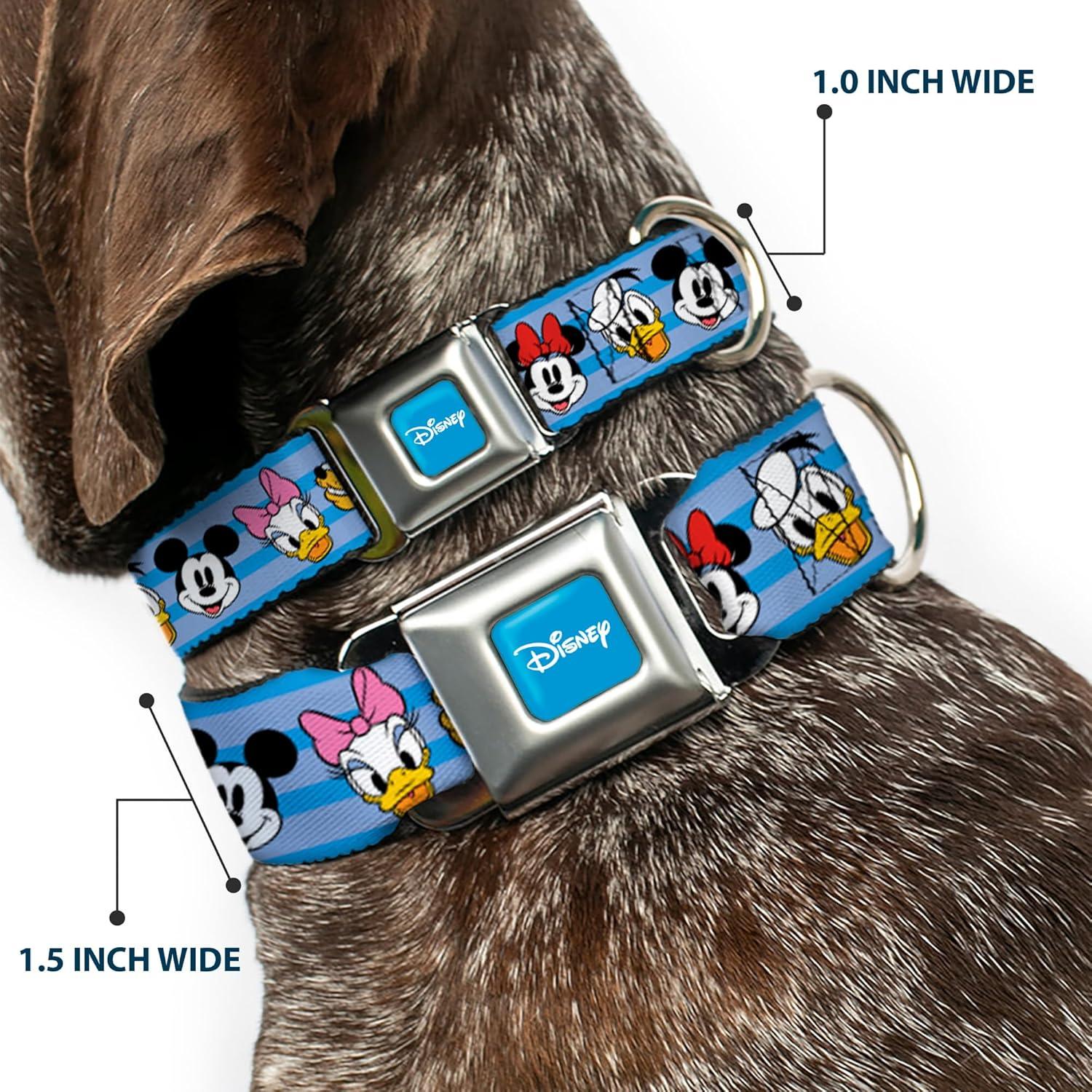 Collar para Perros Disney Buckle-Down 15-24" (38-61 cm) 2.54 cm