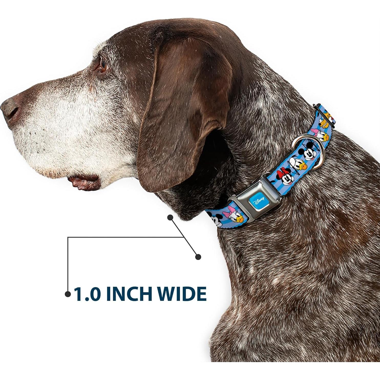 Collar para Perros Disney Buckle-Down 15-24" (38-61 cm) 2.54 cm