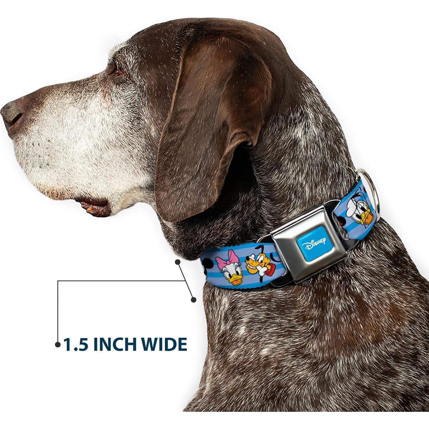 Collar para Perros Disney Buckle-Down 15-24" (38-61 cm) 2.54 cm