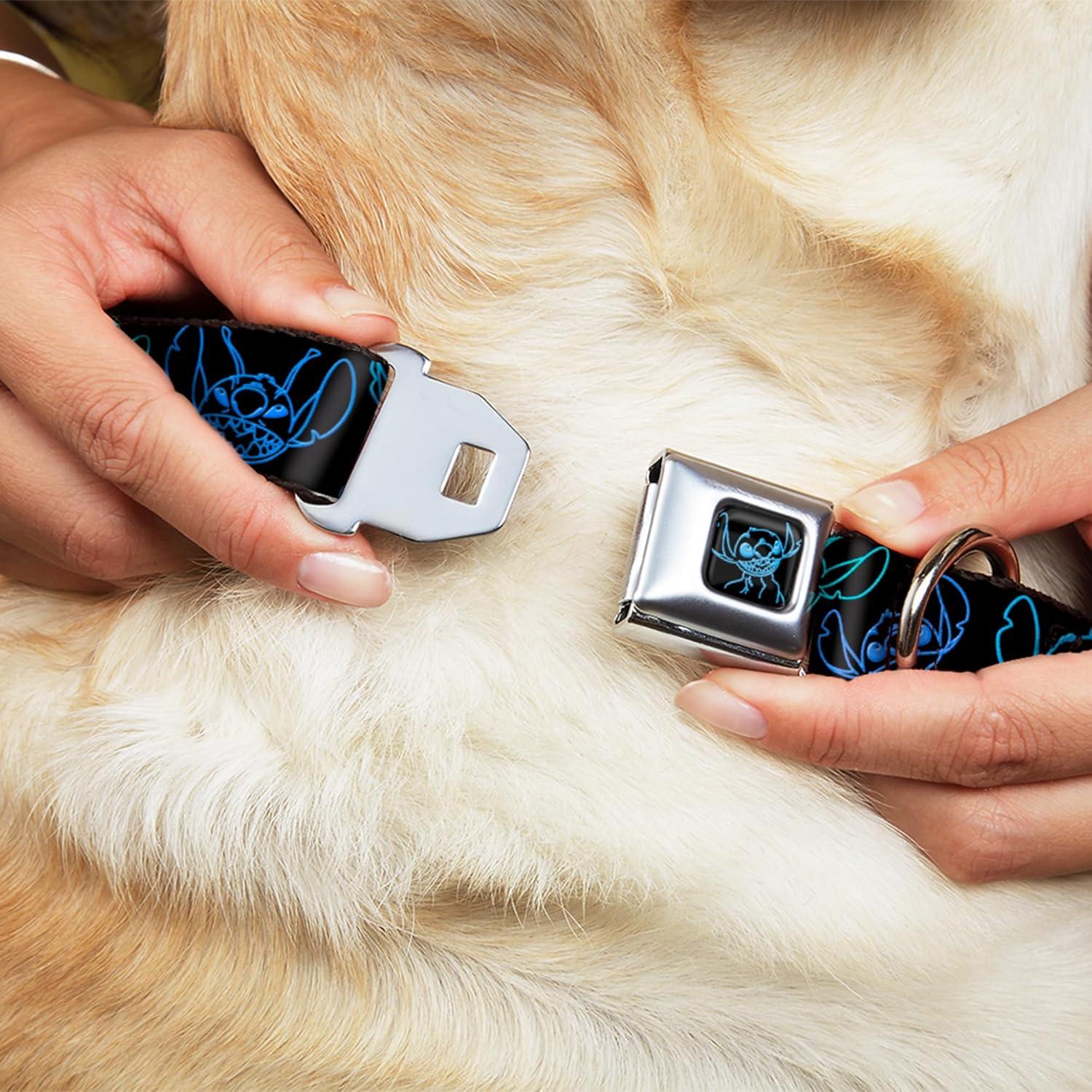 Collar para Perros Disney Buckle-Down 38-61 cm Negro Neón Azul