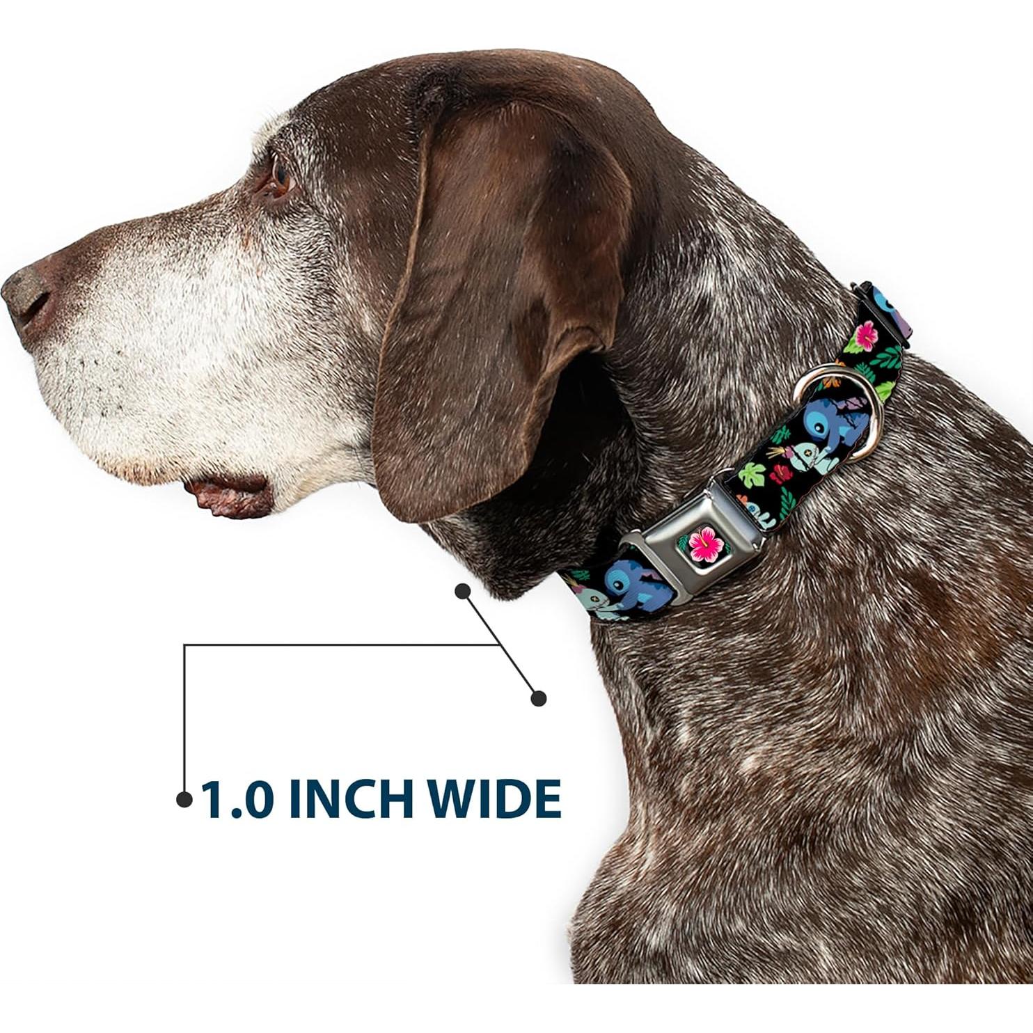 Collar para Perros Disney Buckle-Down 28-42 cm 2.54 cm Ancho
