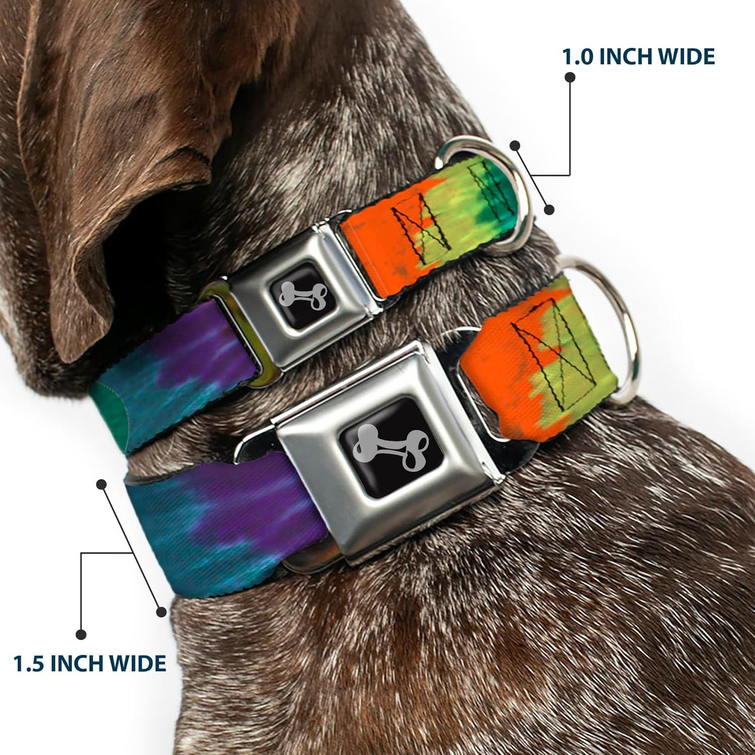Collar de Perro Buckle-Down Tie Dye 2.54 cm Ancho 11-17 cm