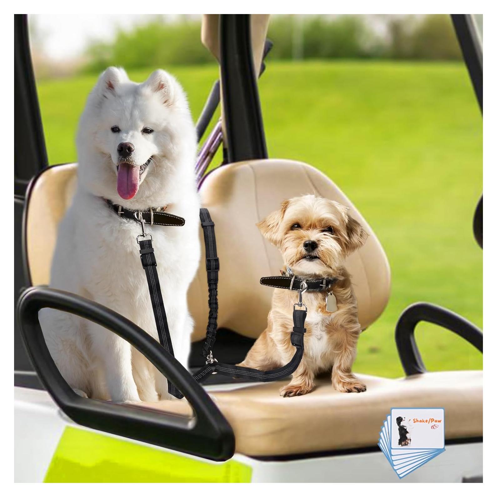 Cinturón de Seguridad para Perros en Carro de Golf Zhizaiql