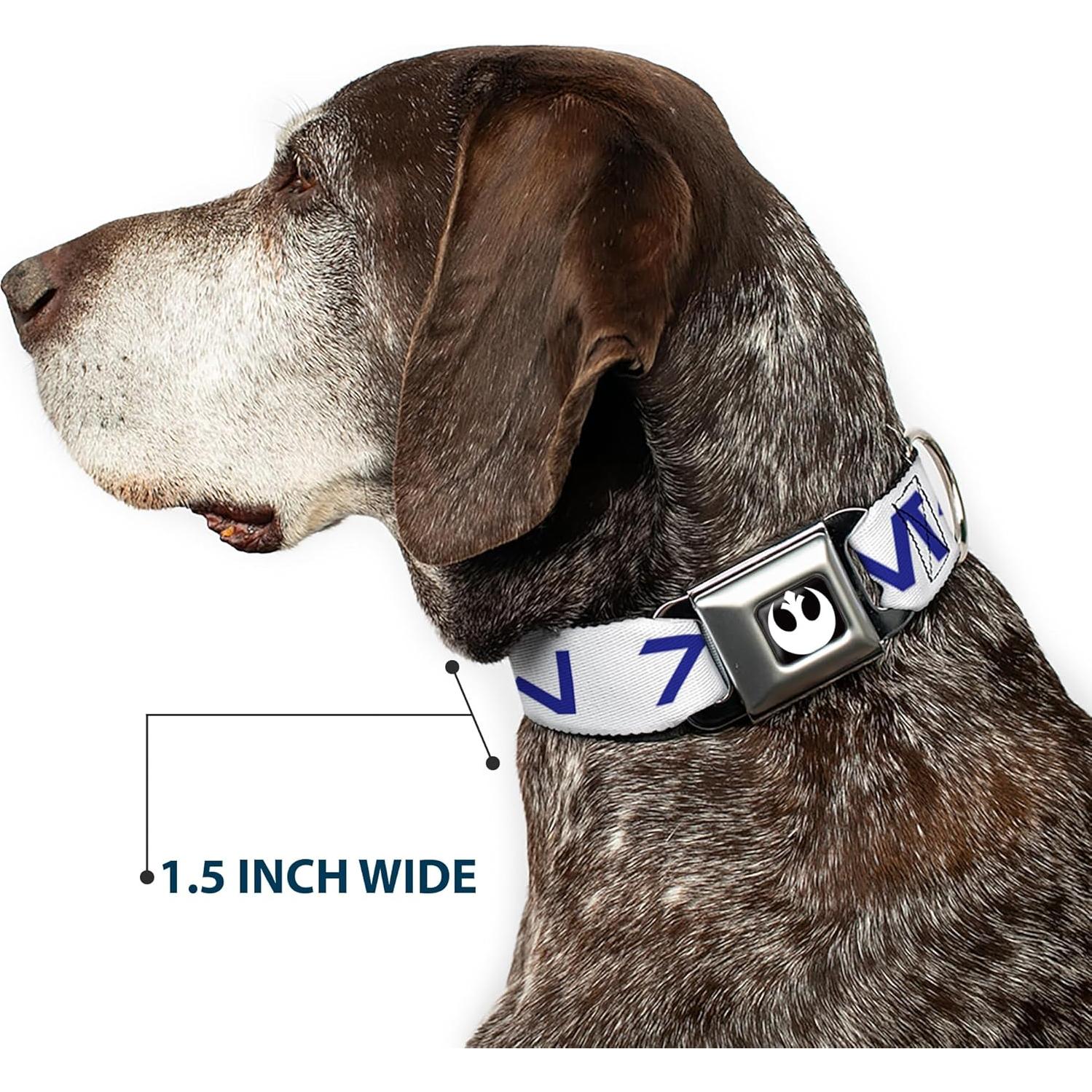 Collar para Perros Star Wars Buckle-Down 38-61 cm Ancho 2.54 cm
