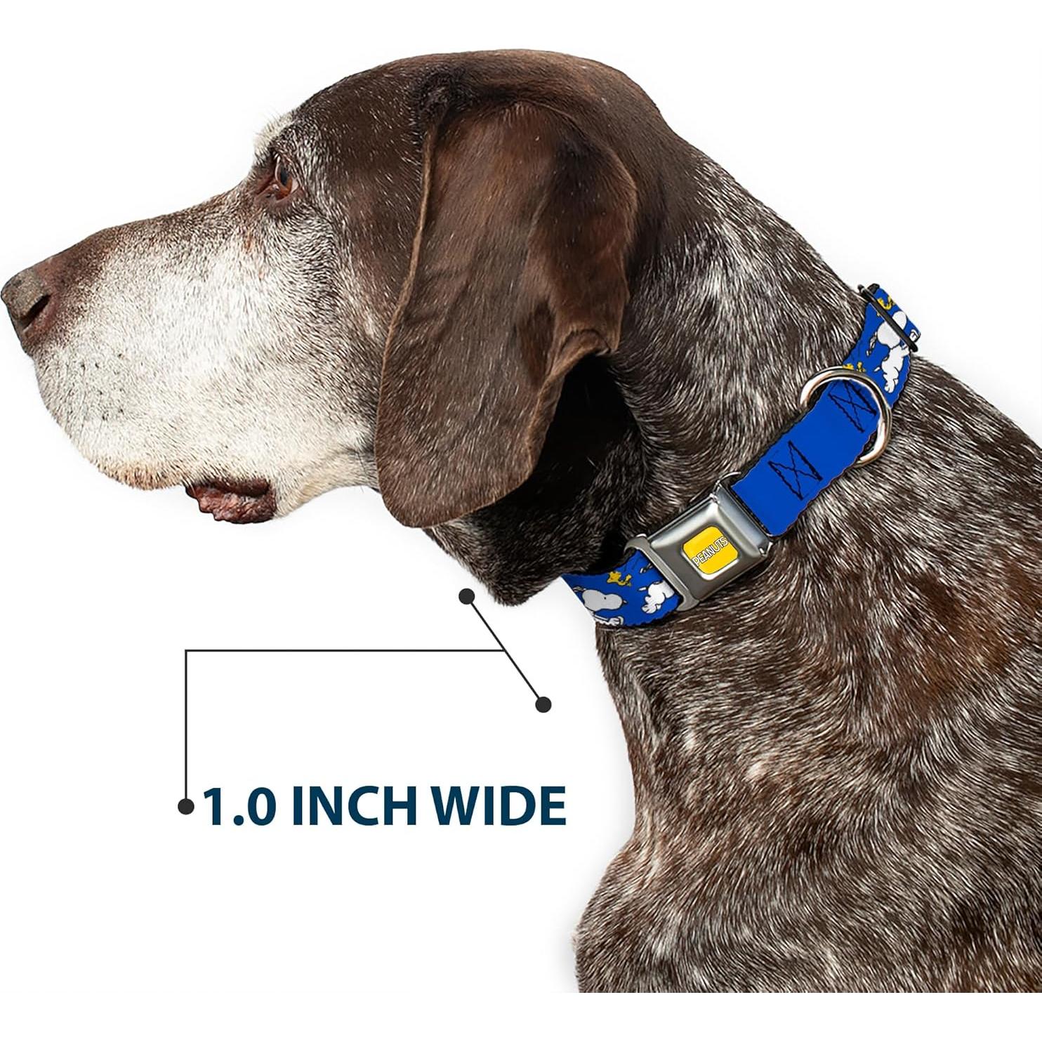 Collar para Perros Peanuts Buckle-Down 15-24" (38-61 cm) Azul
