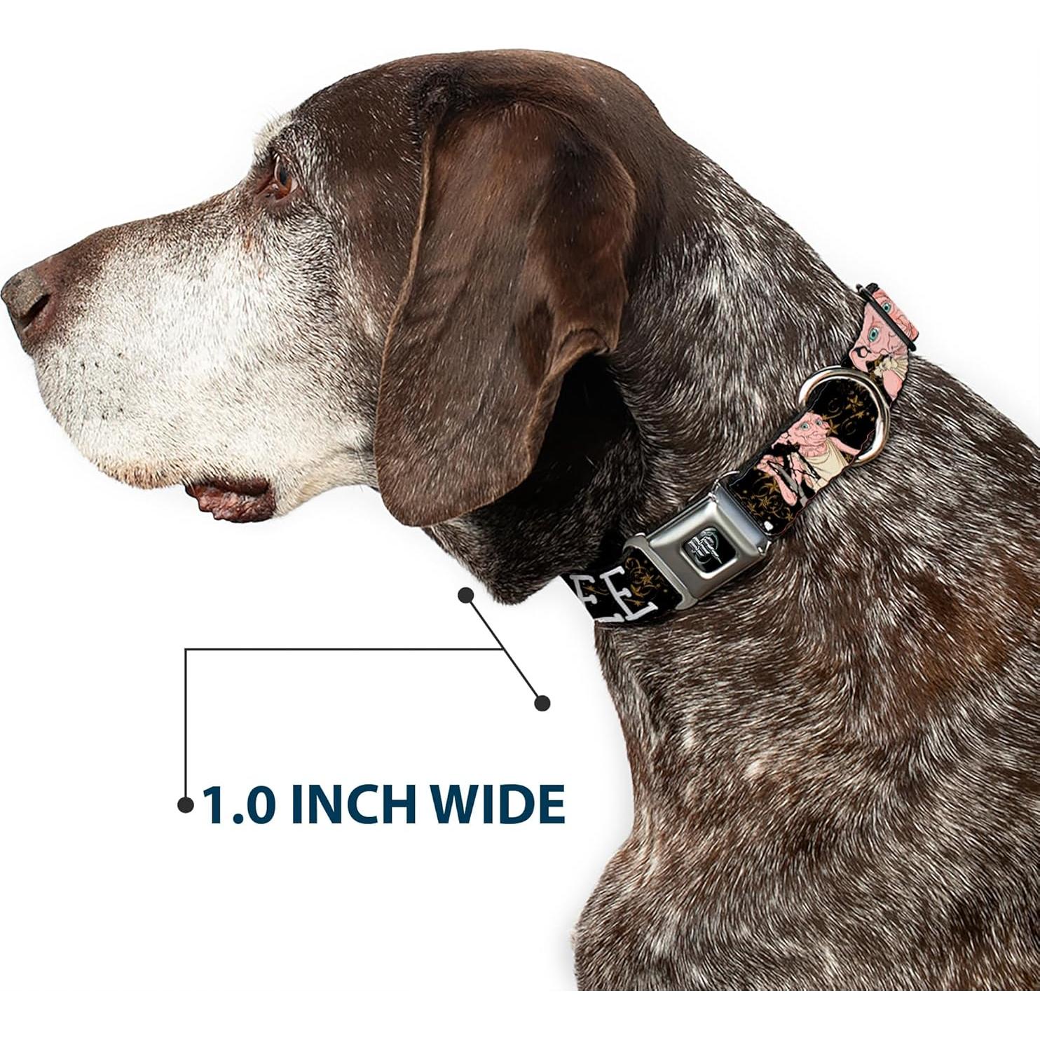 Collar para Perros Warner Bros con Hebilla de Seguridad 38-61 cm