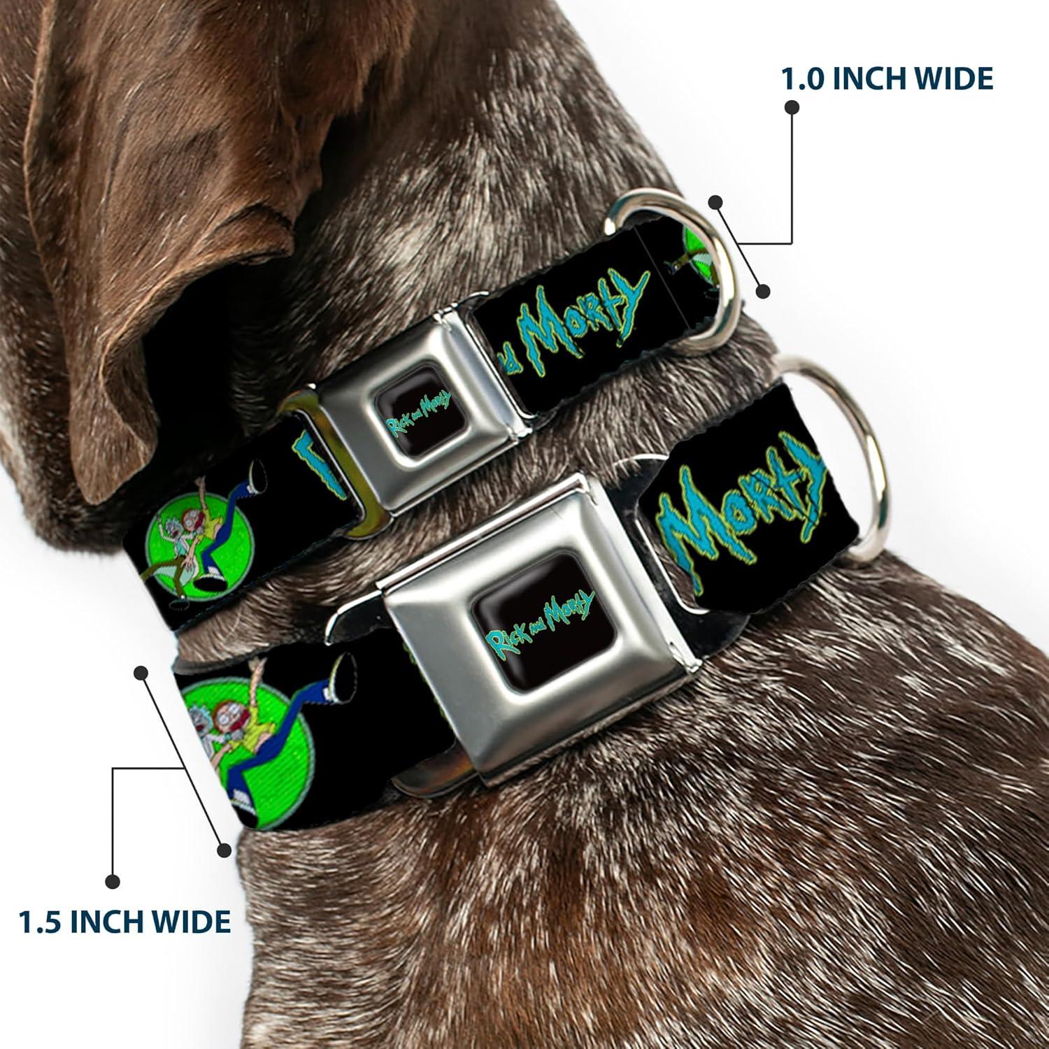 Collar para Perros Rick y Morty - Hebilla Seguridad 38-61 cm