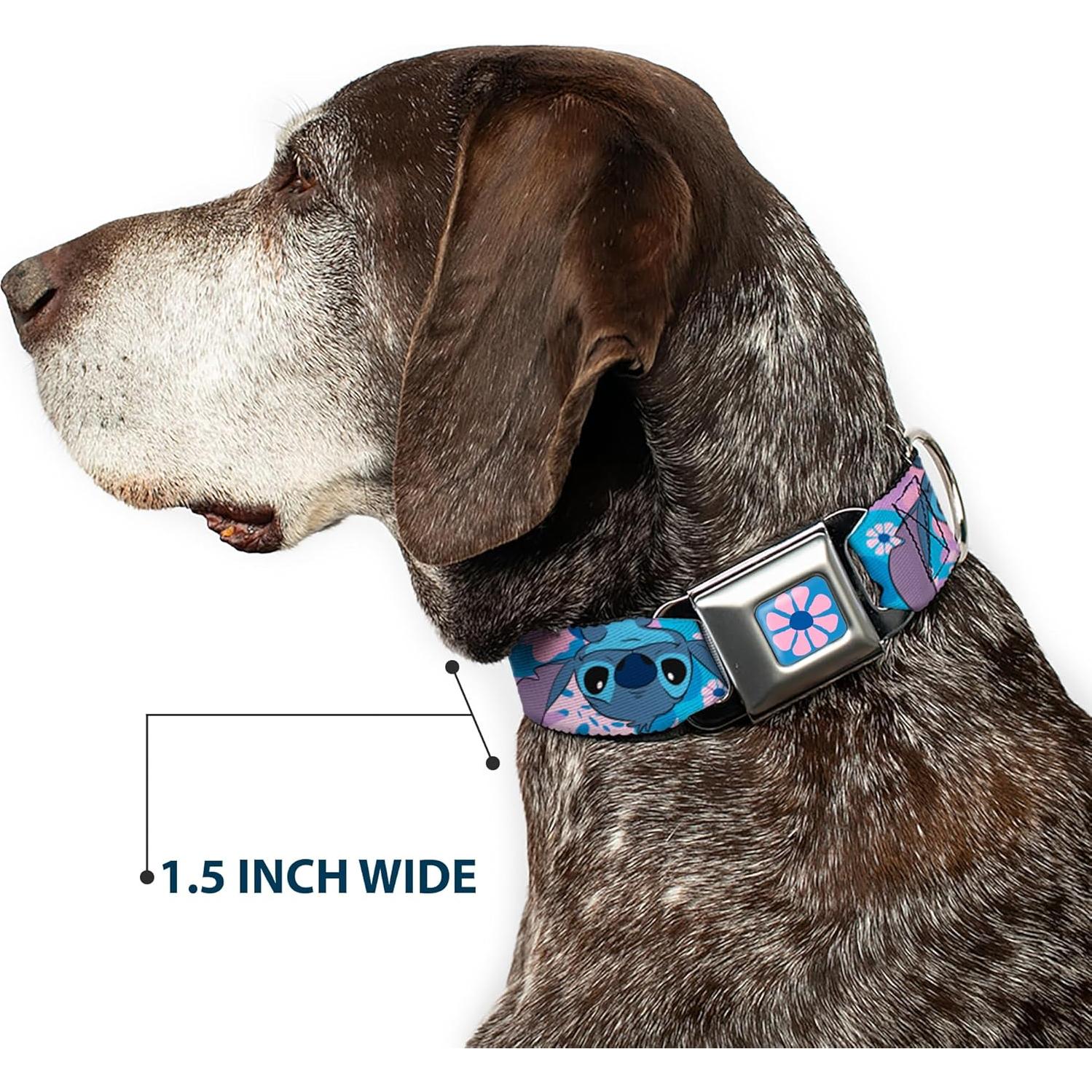 Collar para Perro Disney Buckle-Down Lilo y Stitch 24.1-33 cm