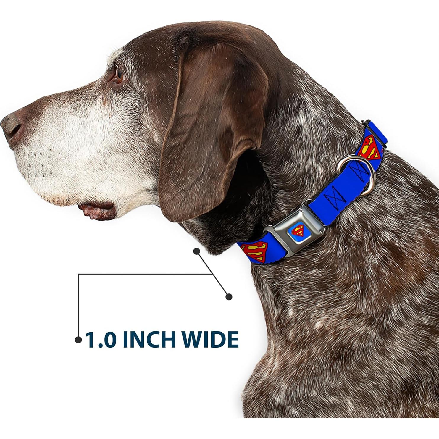 Collar de Perro Buckle-Down Superman Escudo Azul 33-46 cm 3.81 cm Ancho