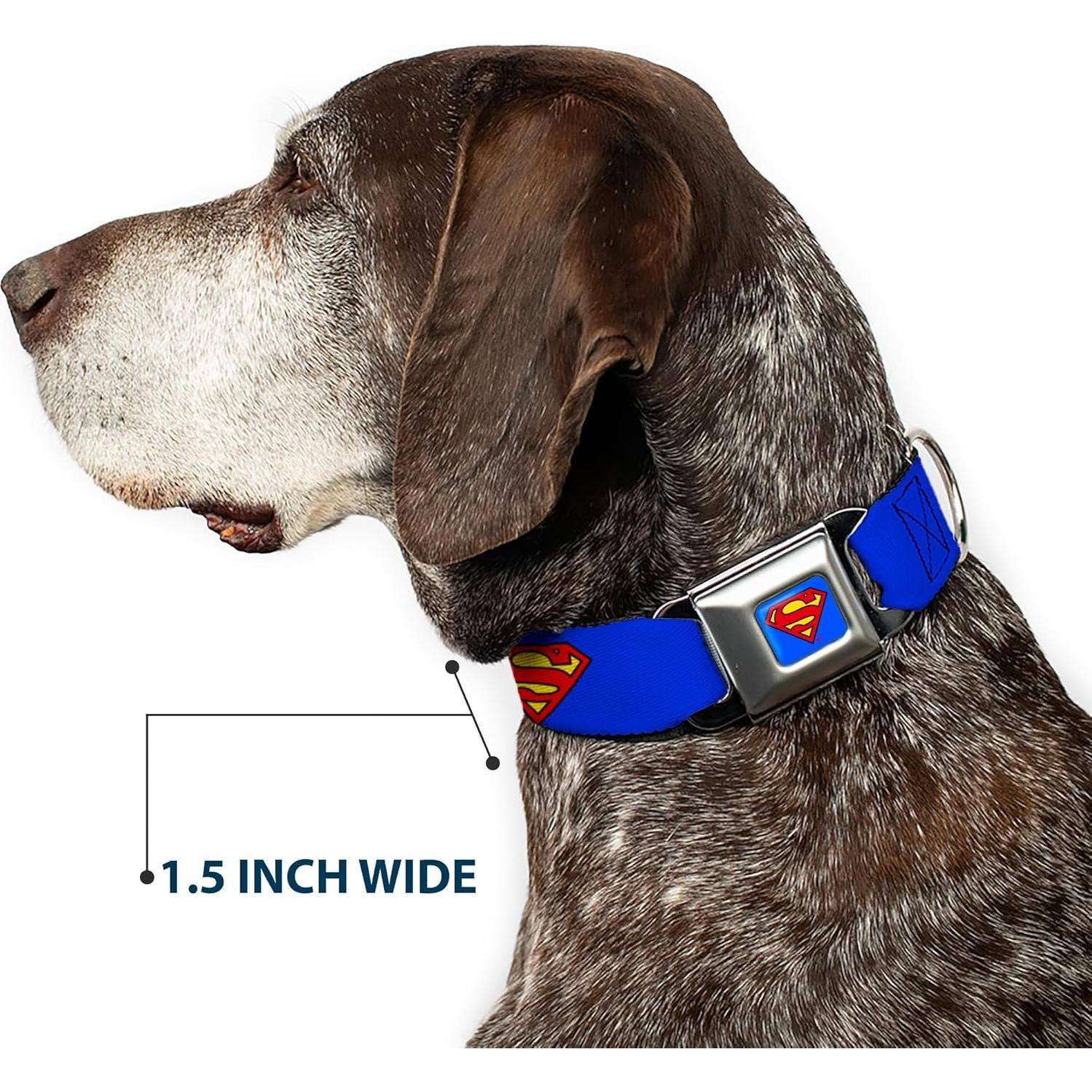 Collar de Perro Buckle-Down Superman Escudo Azul 33-46 cm 3.81 cm Ancho