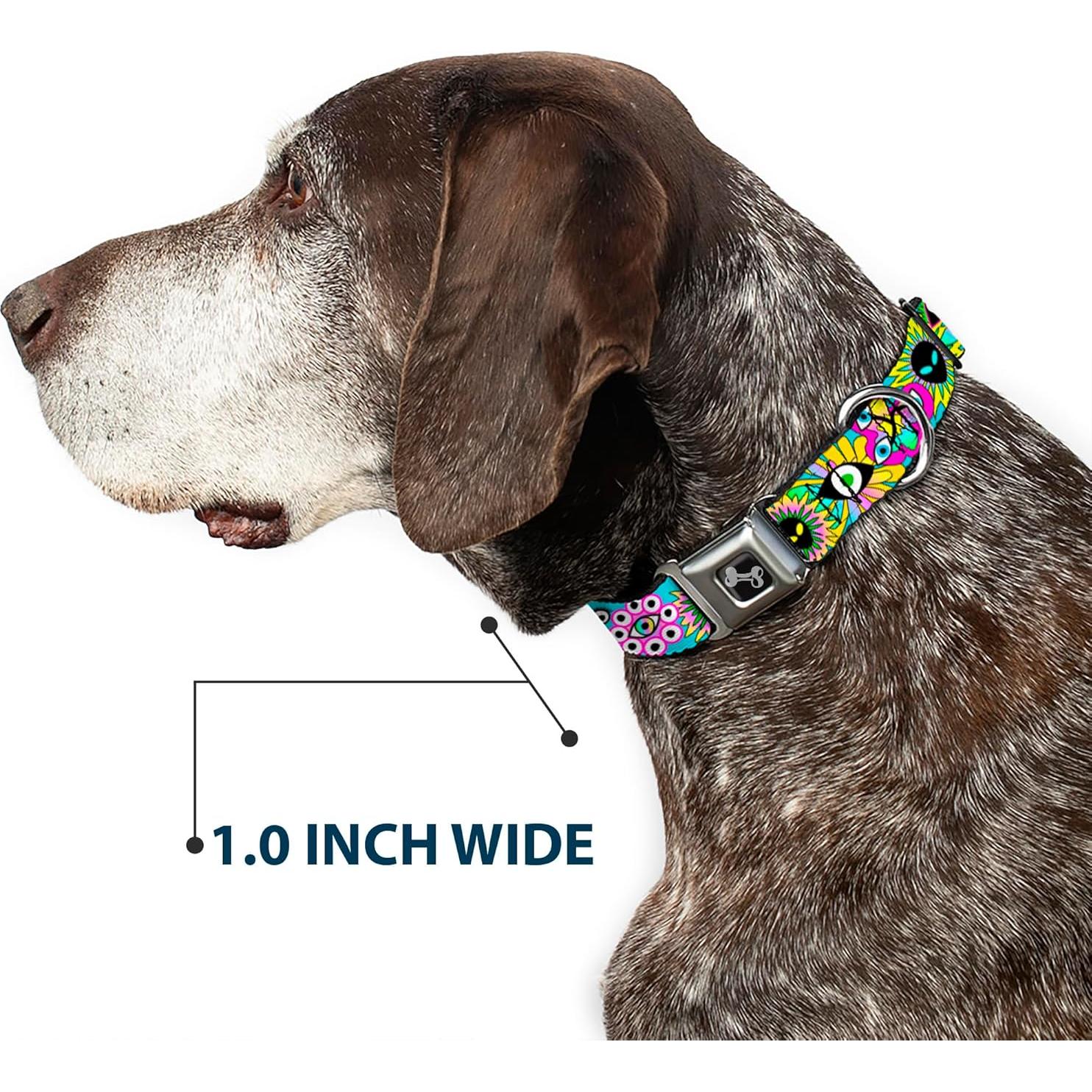 Collar para Perros Buckle-Down Funky Aqua 11-16.5 cm