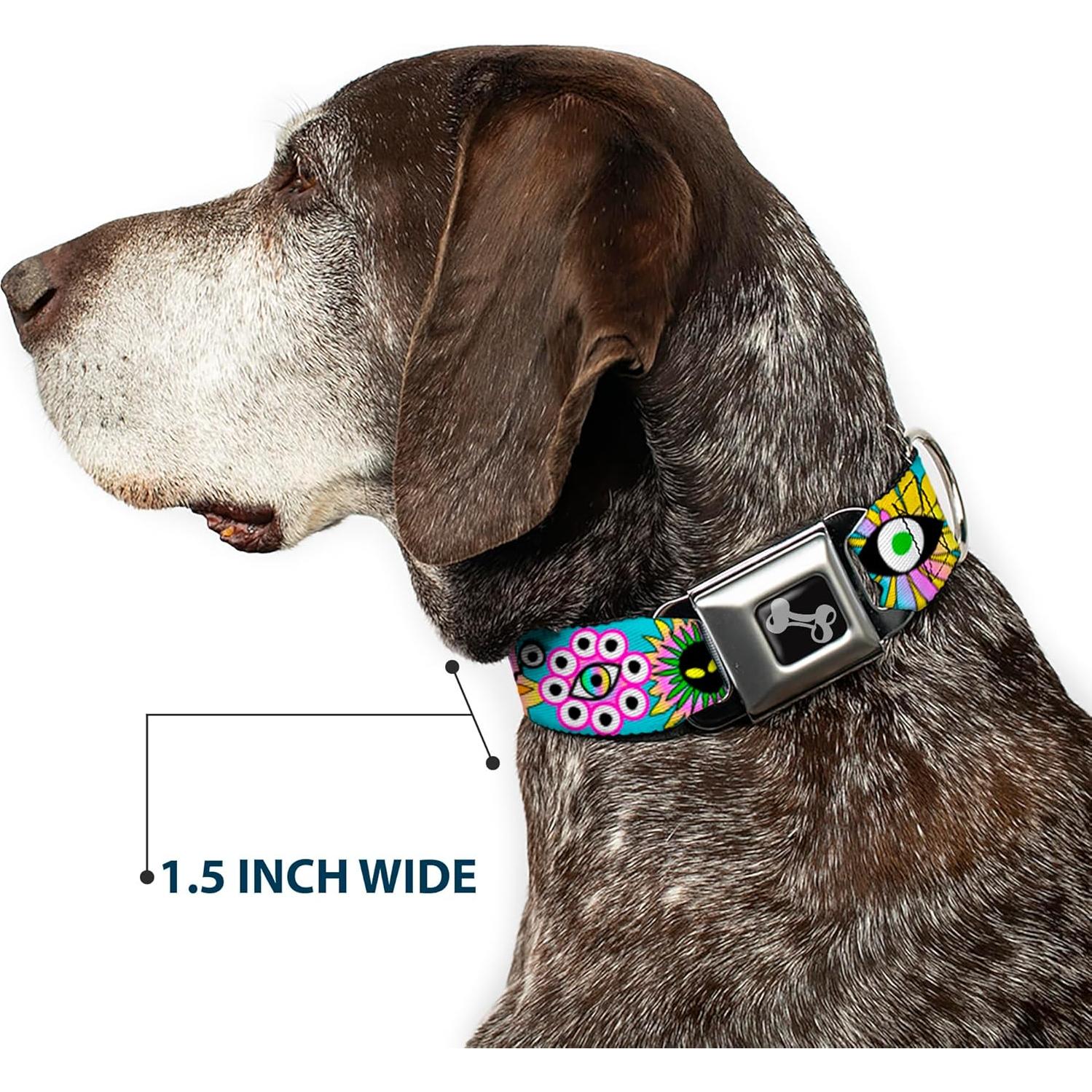 Collar para Perros Buckle-Down Funky Aqua 11-16.5 cm