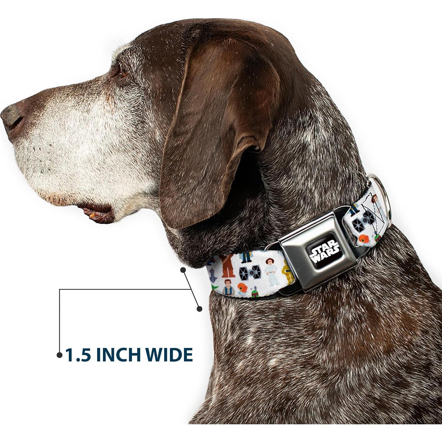 Collar para Perros Star Wars Buckle-Down 24.1-33 cm 2.5 cm