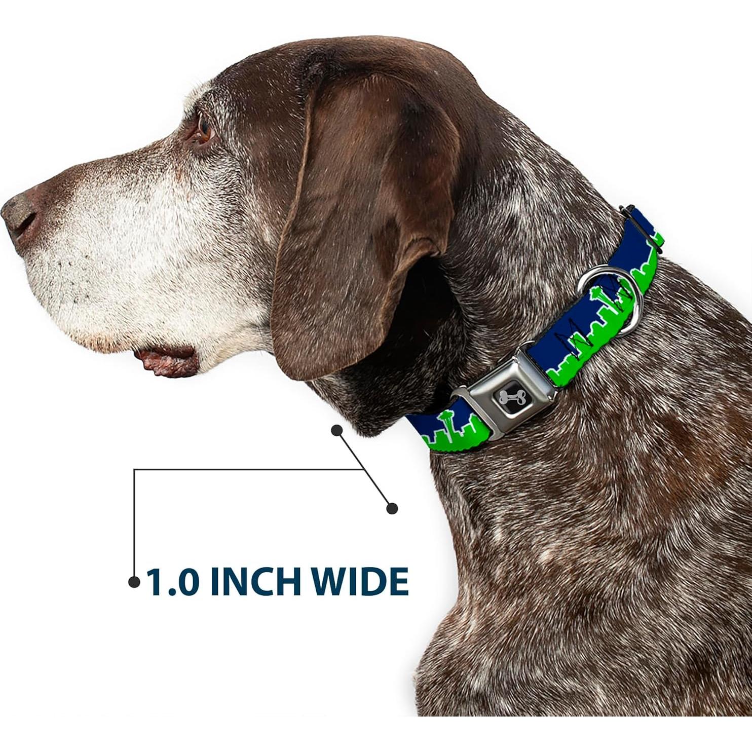 Collar de Perro Buckle-Down Horizonte Seattle 2.54 cm Azul Verde