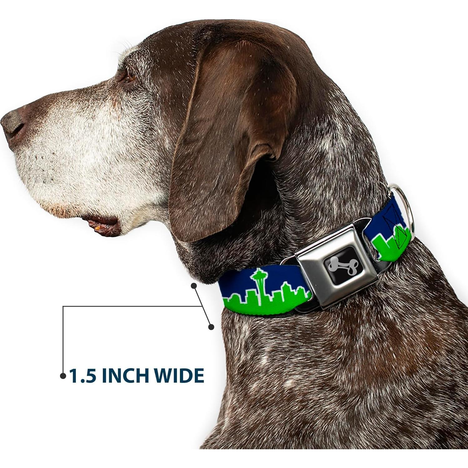 Collar de Perro Buckle-Down Horizonte Seattle 2.54 cm Azul Verde