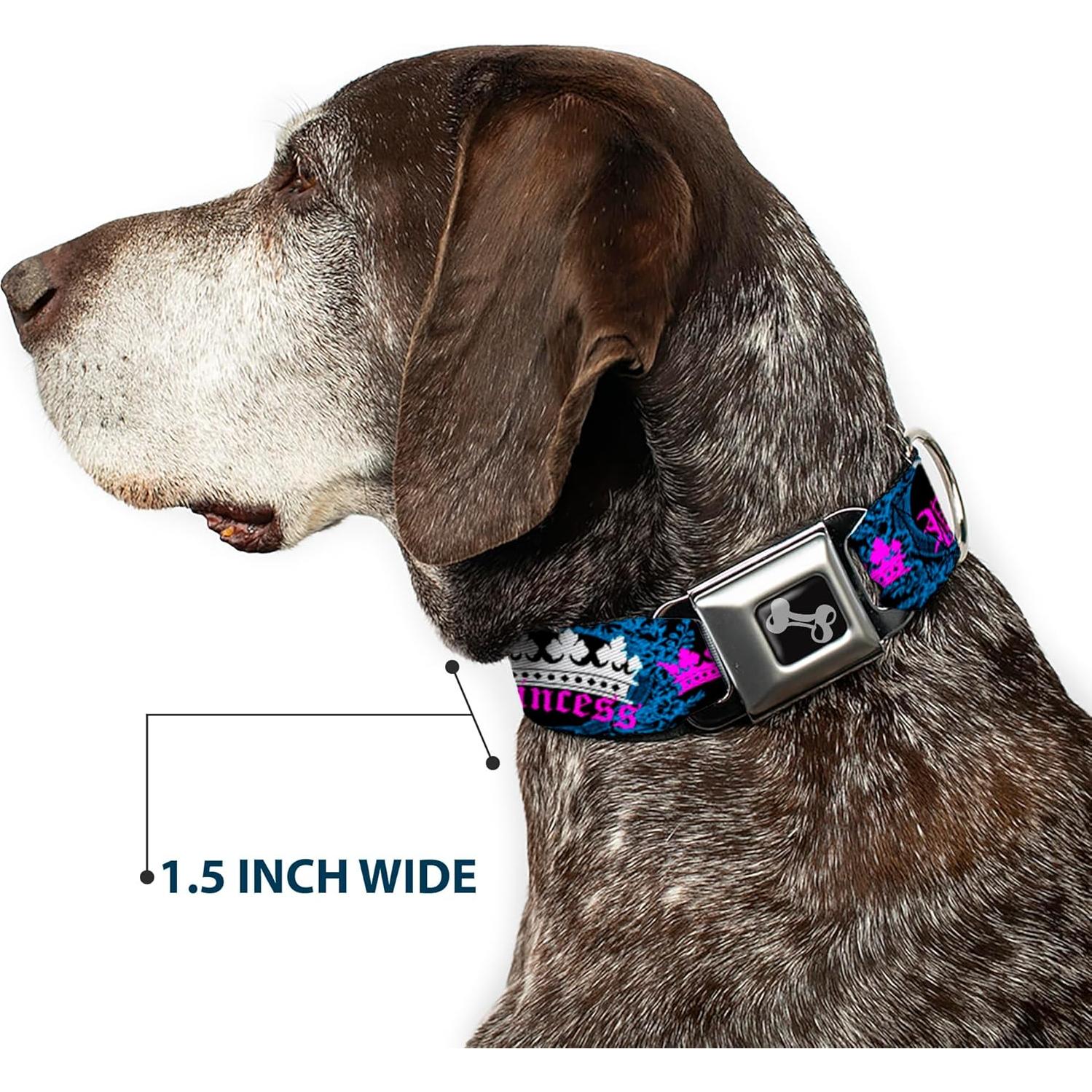Collar para Perro Buckle-Down Princesa Ovalado Negro/Turquesa 2.54 cm