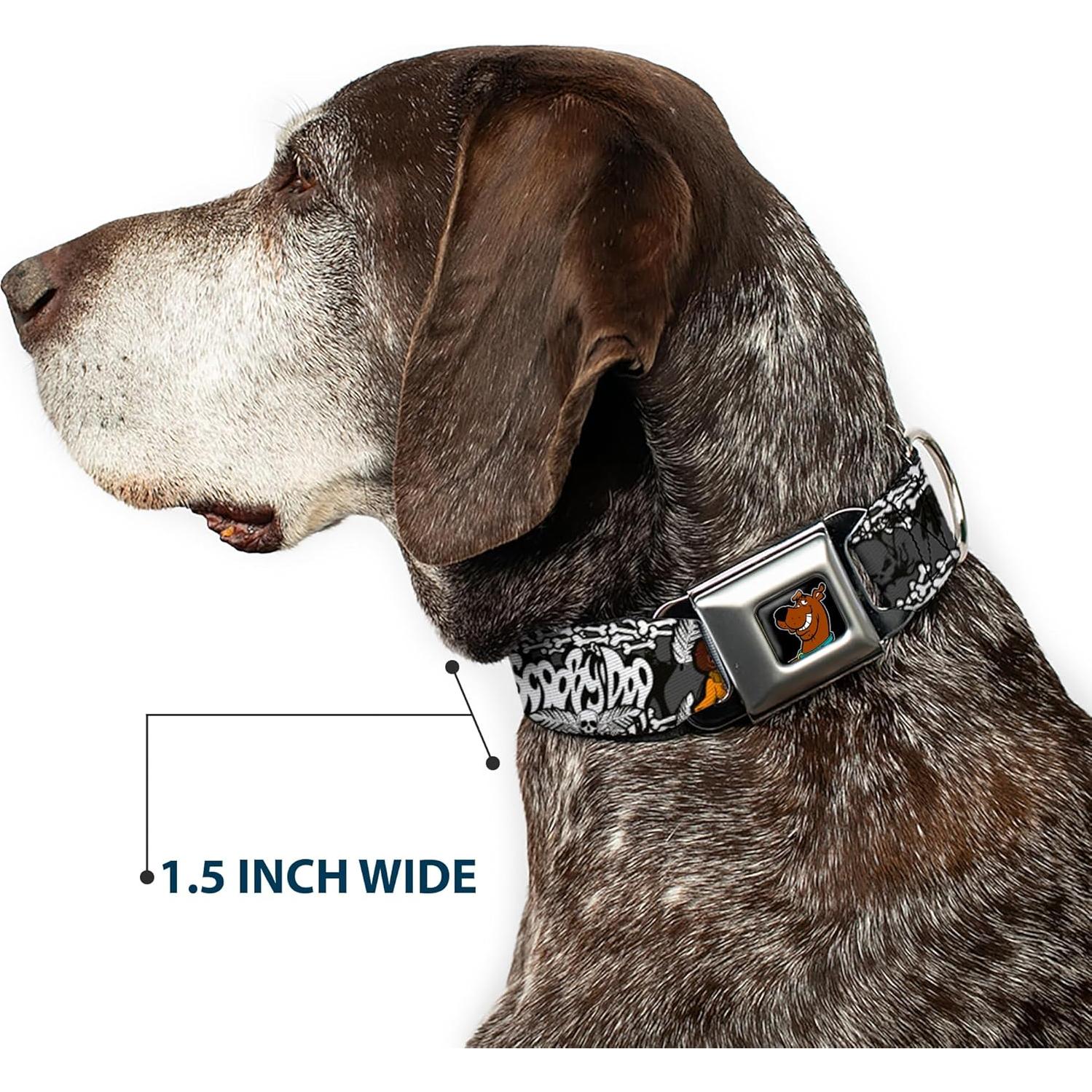 Collar de Perro Buckle-Down Scooby Doo 2.54 cm Ajustable 22-38 cm