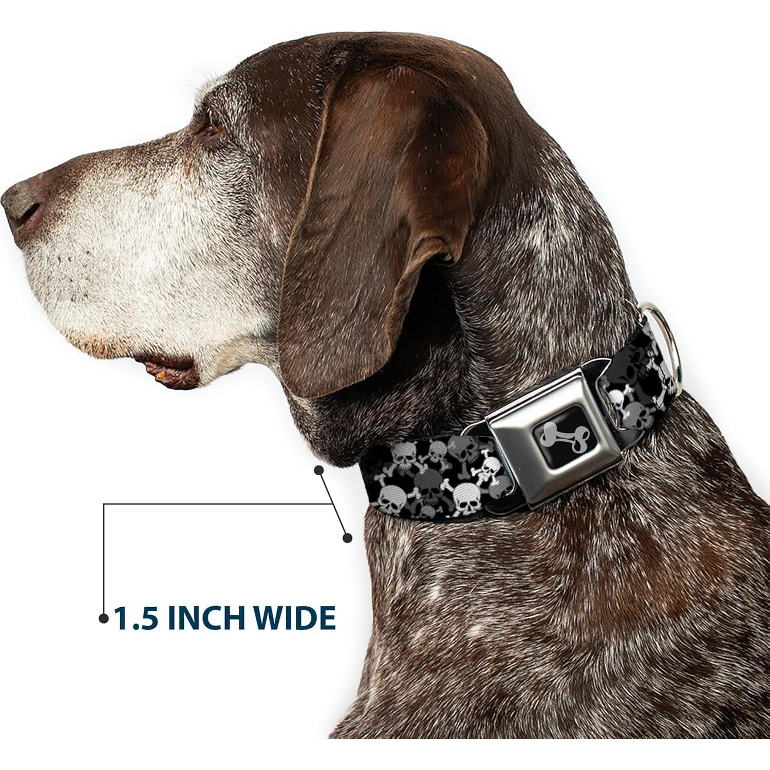 Collar para Perro Buckle-Down Calaveras Apiladas 3.81 cm