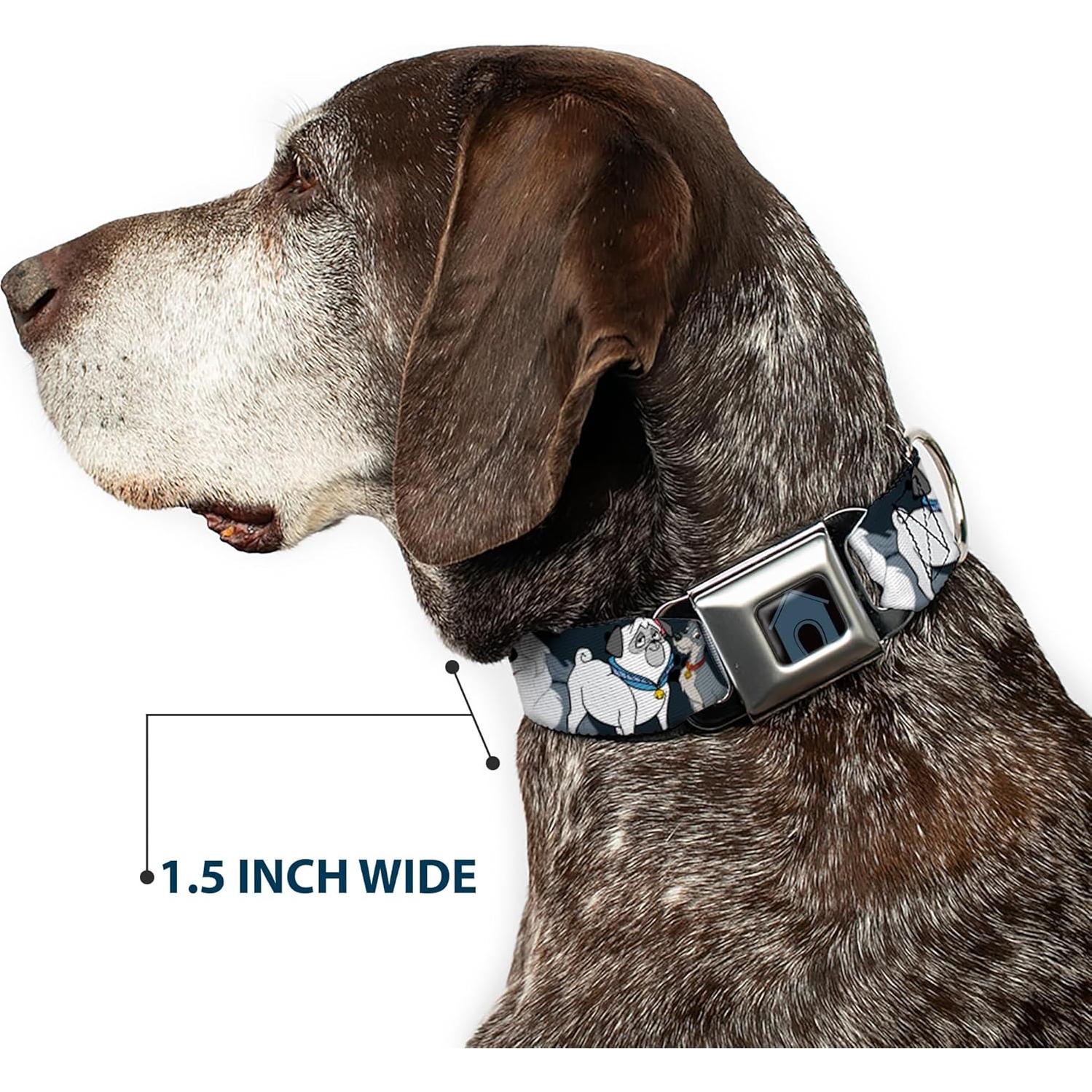 Collar de Perro Buckle-Down Disney Patas Gris 11-17 cm 2.54 cm Ancho