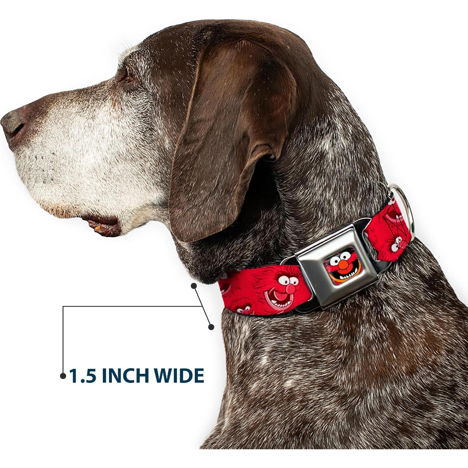 Collar para Perro Buckle-Down 2.54 cm Rojo Ajustable 23-38 cm