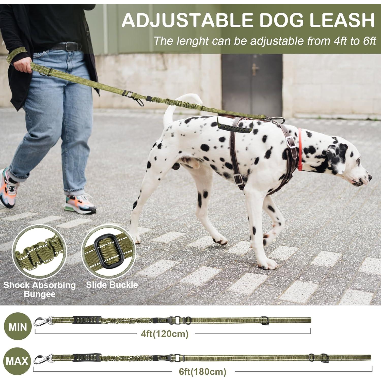 Correa de Perro Táctica Chioratree 1.22-1.83m Bungee Reflectante