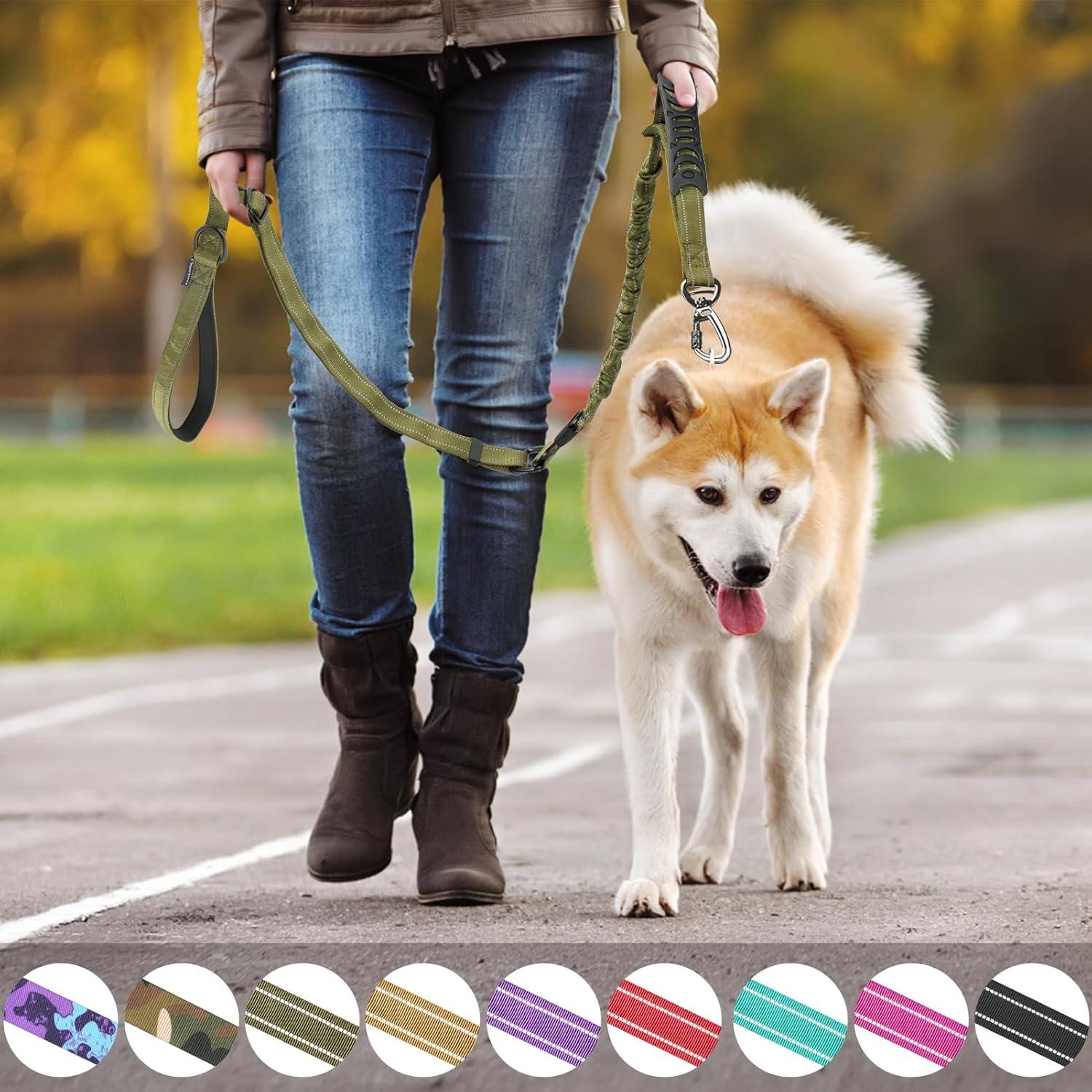 Correa de Perro Táctica Chioratree 1.22-1.83m Bungee Reflectante