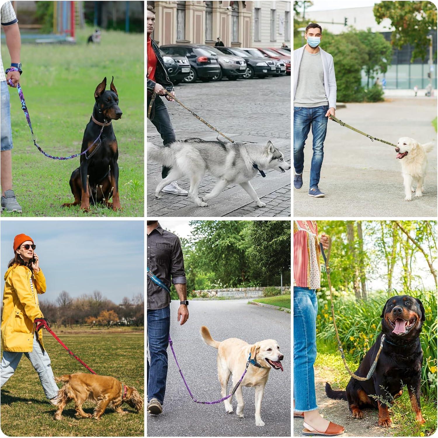 Correa de Perro Táctica Chioratree 1.22-1.83m Bungee Reflectante