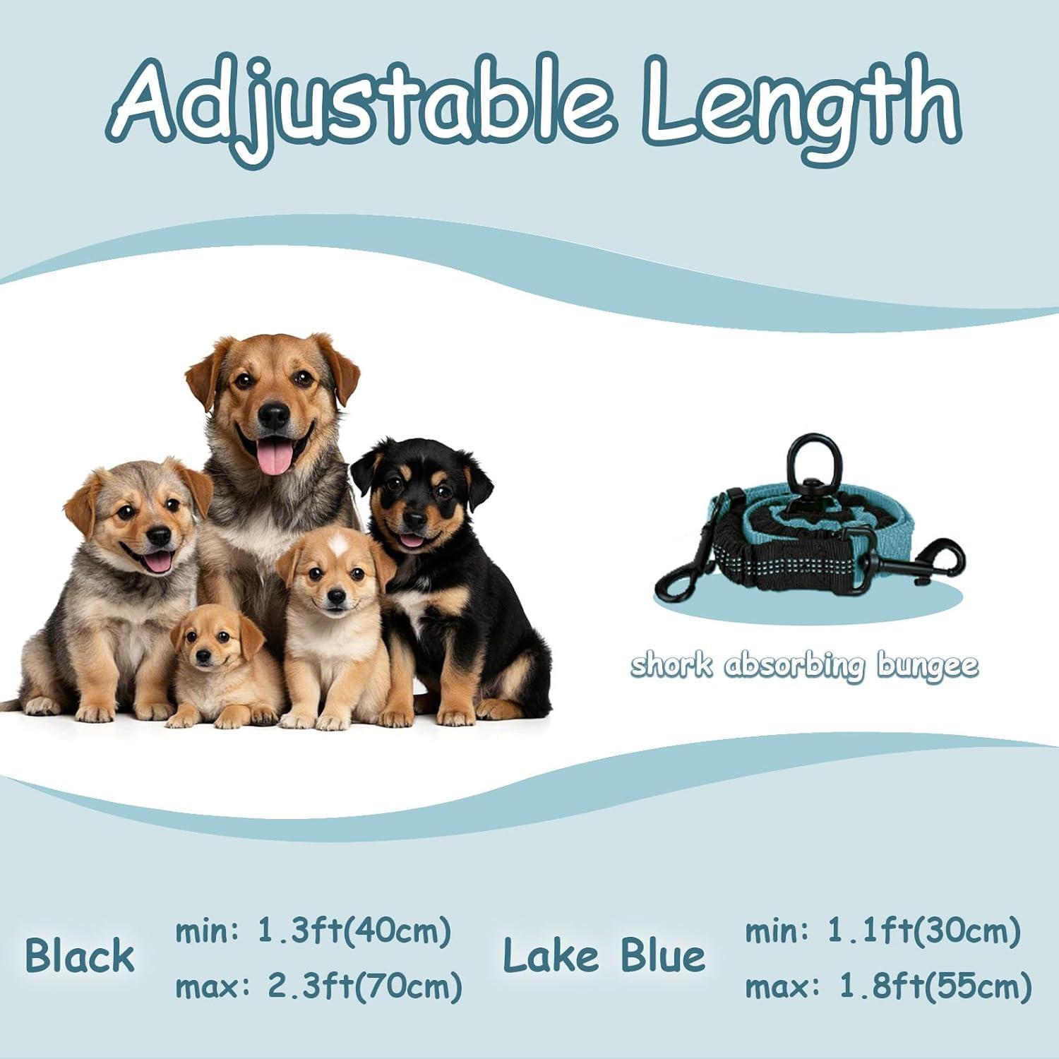 Correa Doble para Perros LEOSASA Azul Lago 35-55 cm