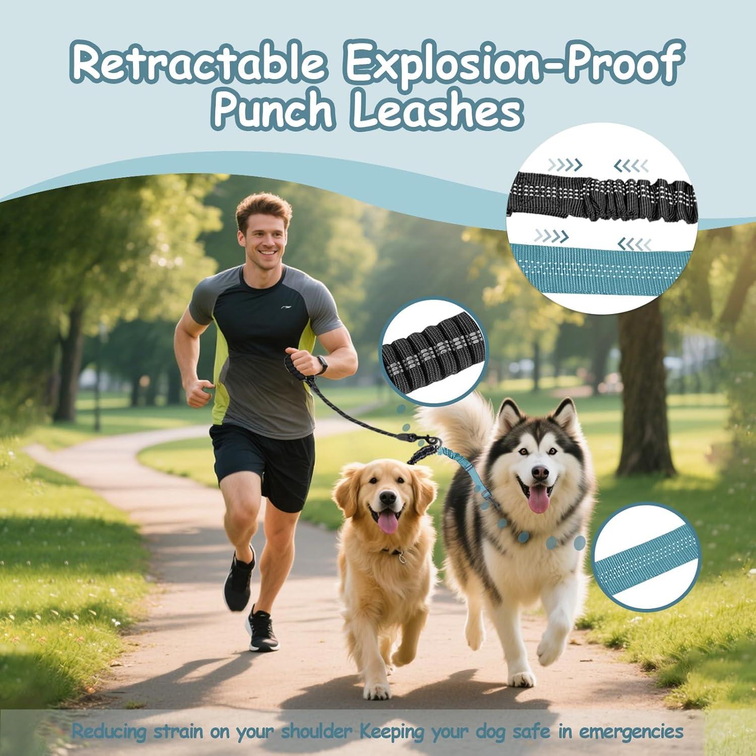 Correa Doble para Perros LEOSASA Azul Lago 35-55 cm