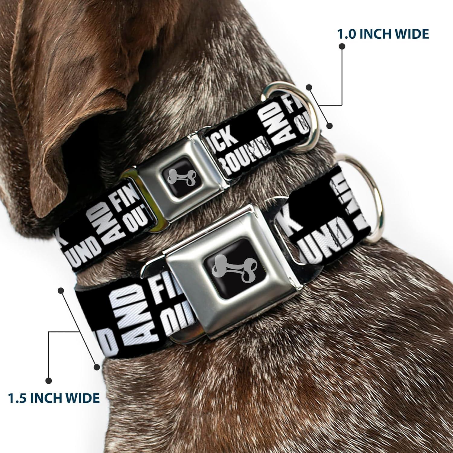 Collar de Perro de Cinturón de Seguridad Buckle-Down 38-66 cm