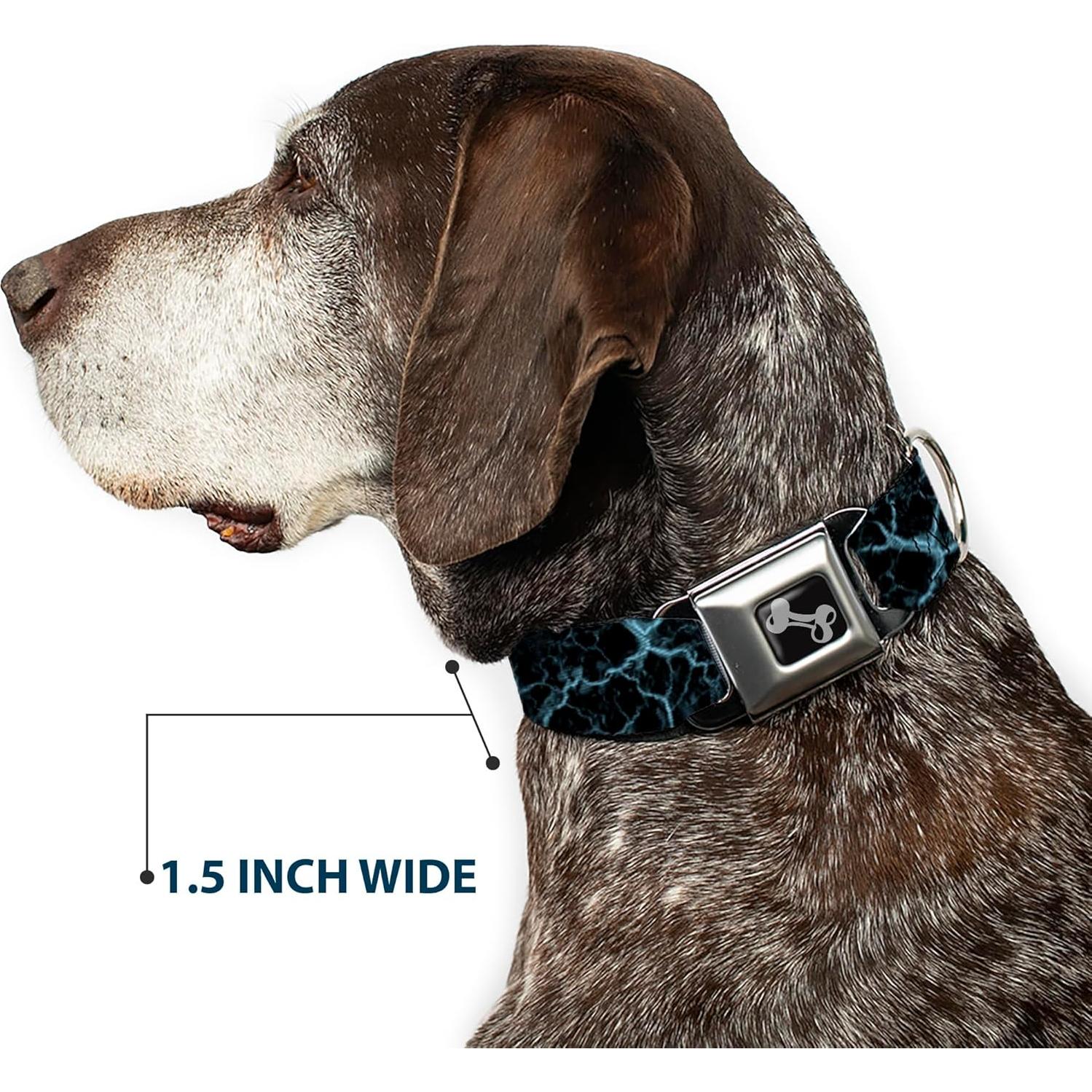 Collar para perro ajustable Buckle-Down 40-58 cm arte Cartoon Network
