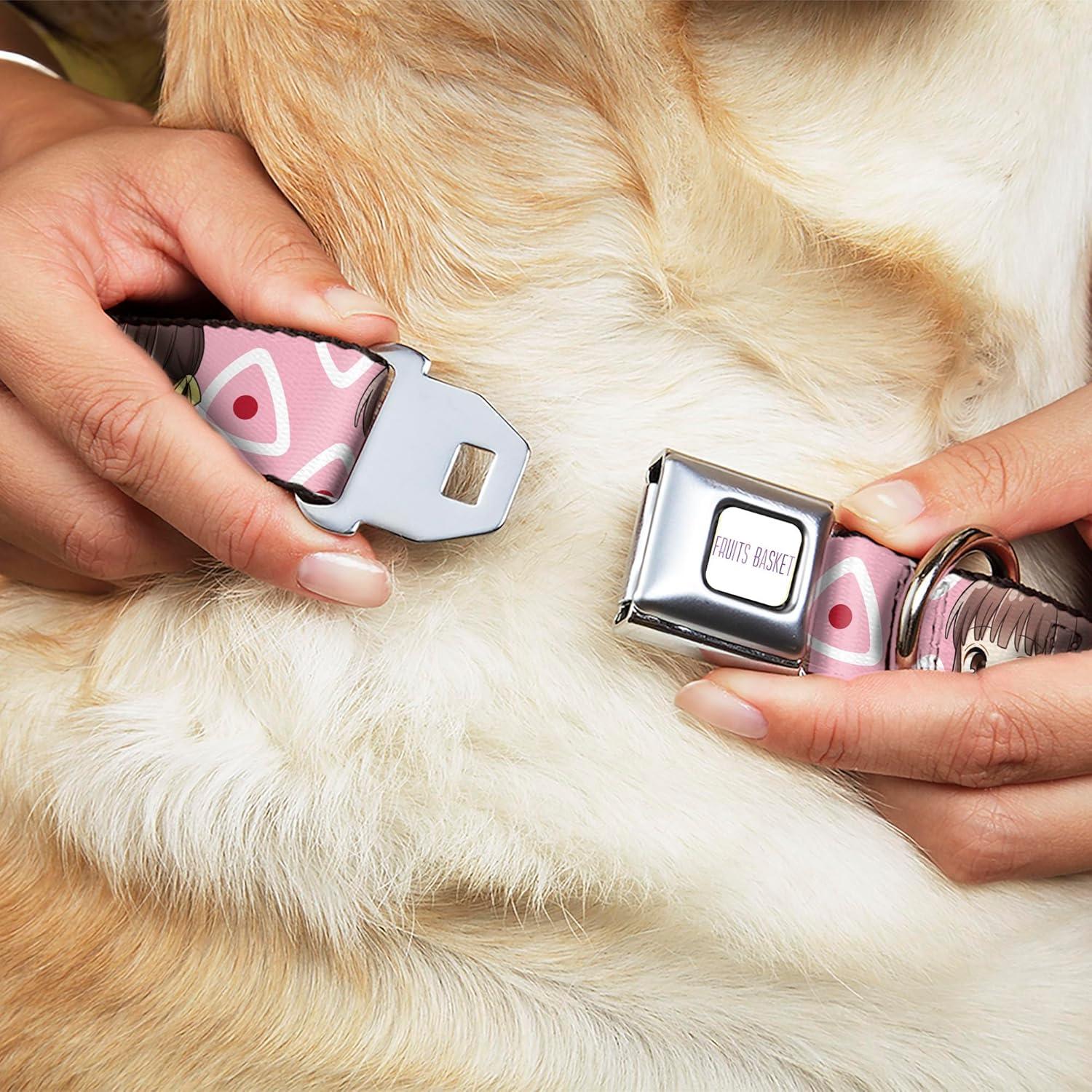 Collar para Perro Crunchyroll Tohru Honda 16-23 cm Ancho 3.81 cm