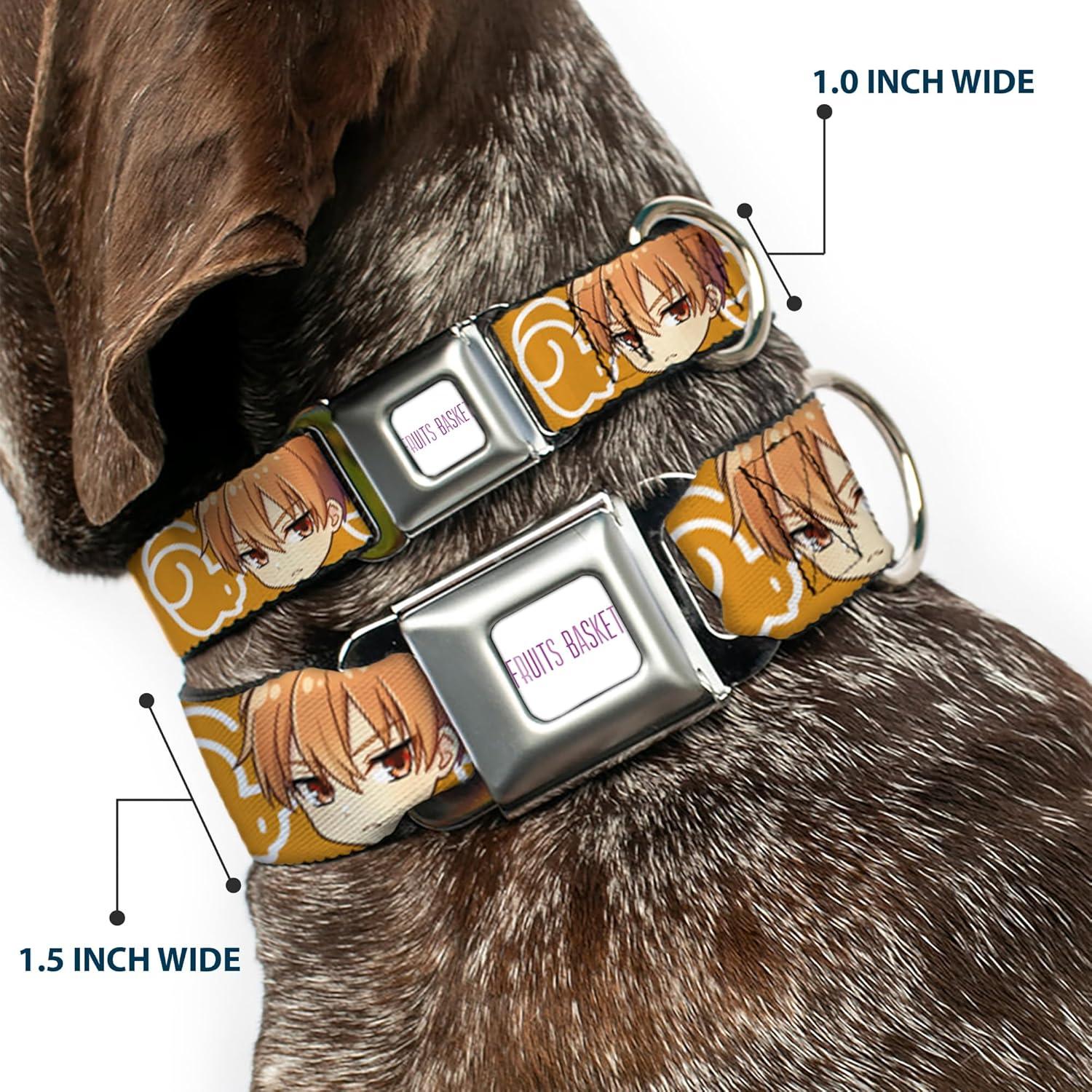 Collar para Perros Crunchyroll Kyo Soma Naranja 16-23 cm