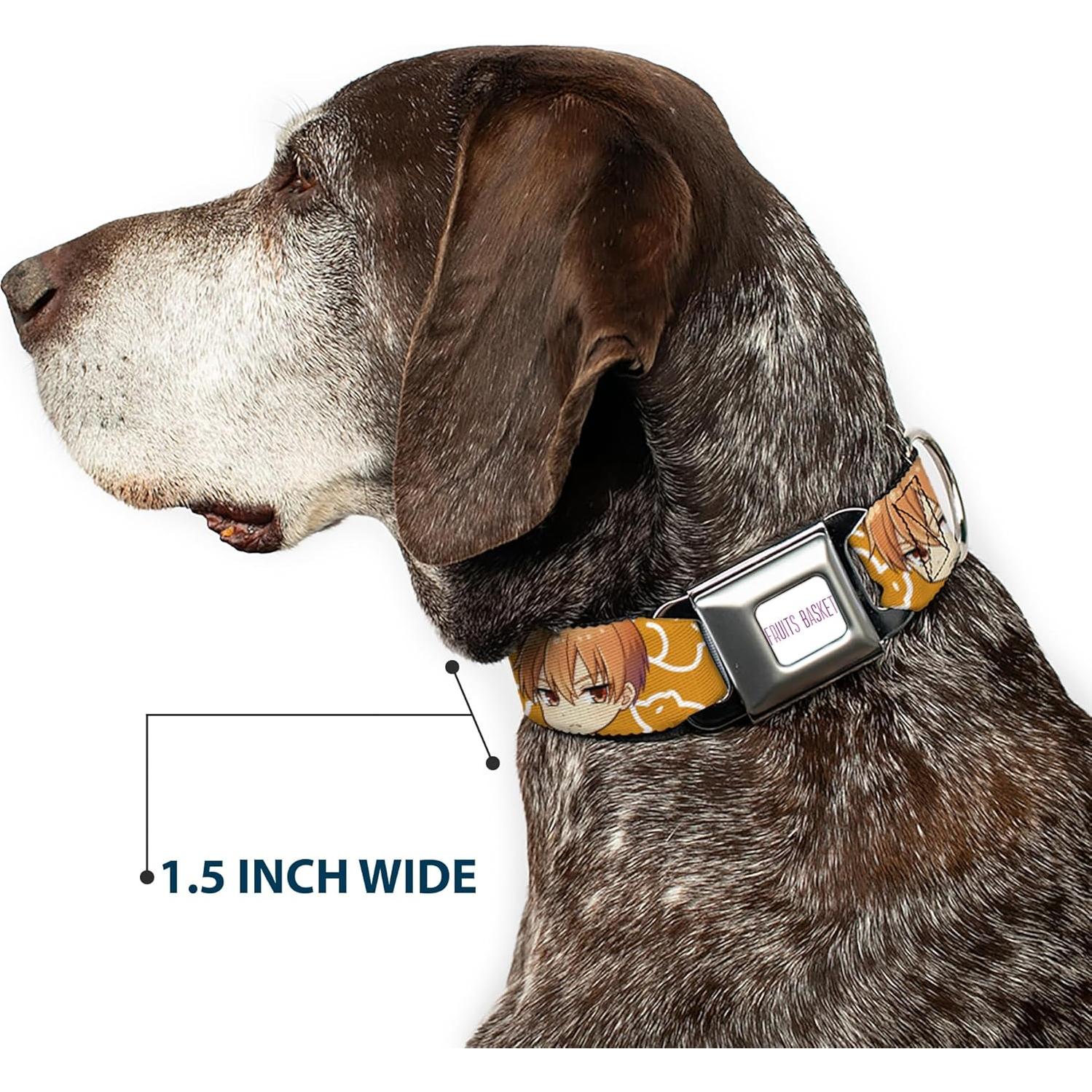 Collar para Perros Crunchyroll Kyo Soma Naranja 16-23 cm