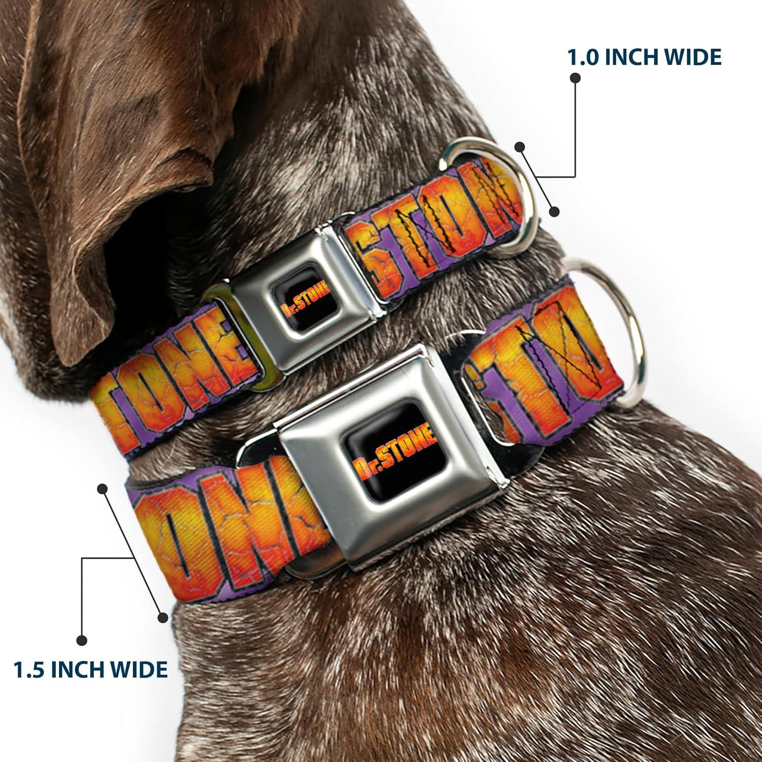 Collar para Perro Crunchyroll Dr Stone 16-23" (40.64-58.42 cm)
