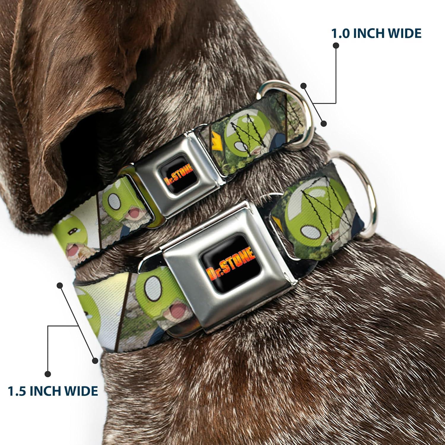 Collar para Perros Crunchyroll Dr Stone 50.8-78.7 cm 1.5 cm