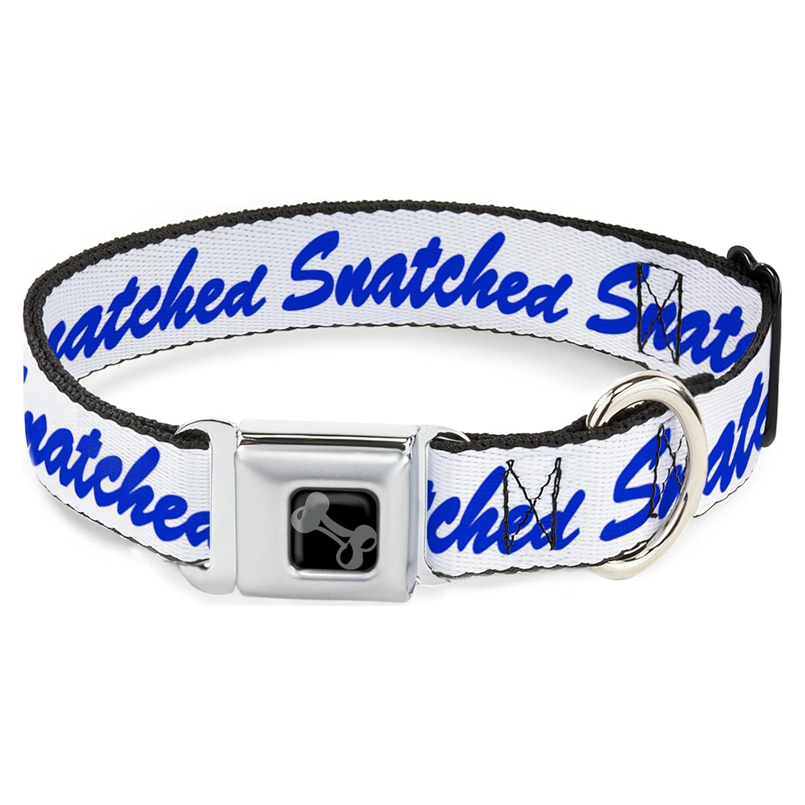 Collar de Perro Buckle-Down con Hebilla de Seguridad 24.1-33 cm