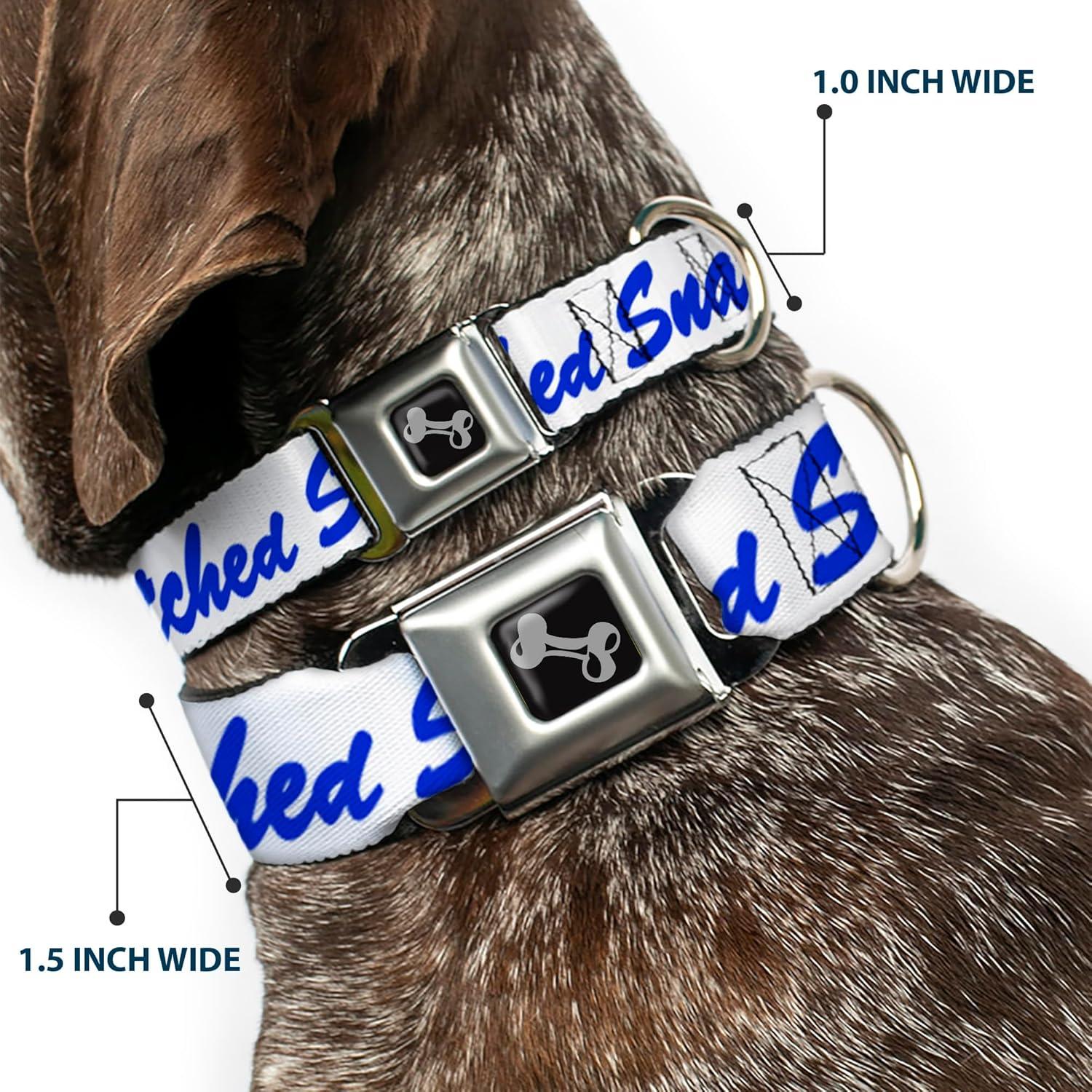 Collar de Perro Buckle-Down con Hebilla de Seguridad 24.1-33 cm