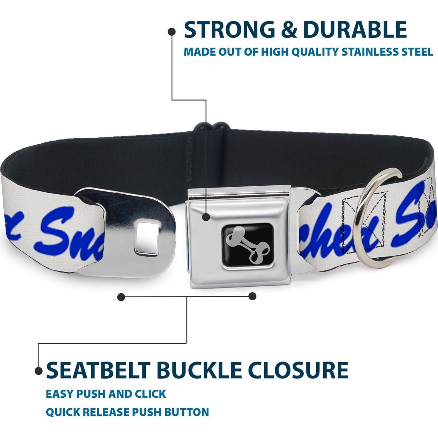 Collar de Perro Buckle-Down con Hebilla de Seguridad 24.1-33 cm