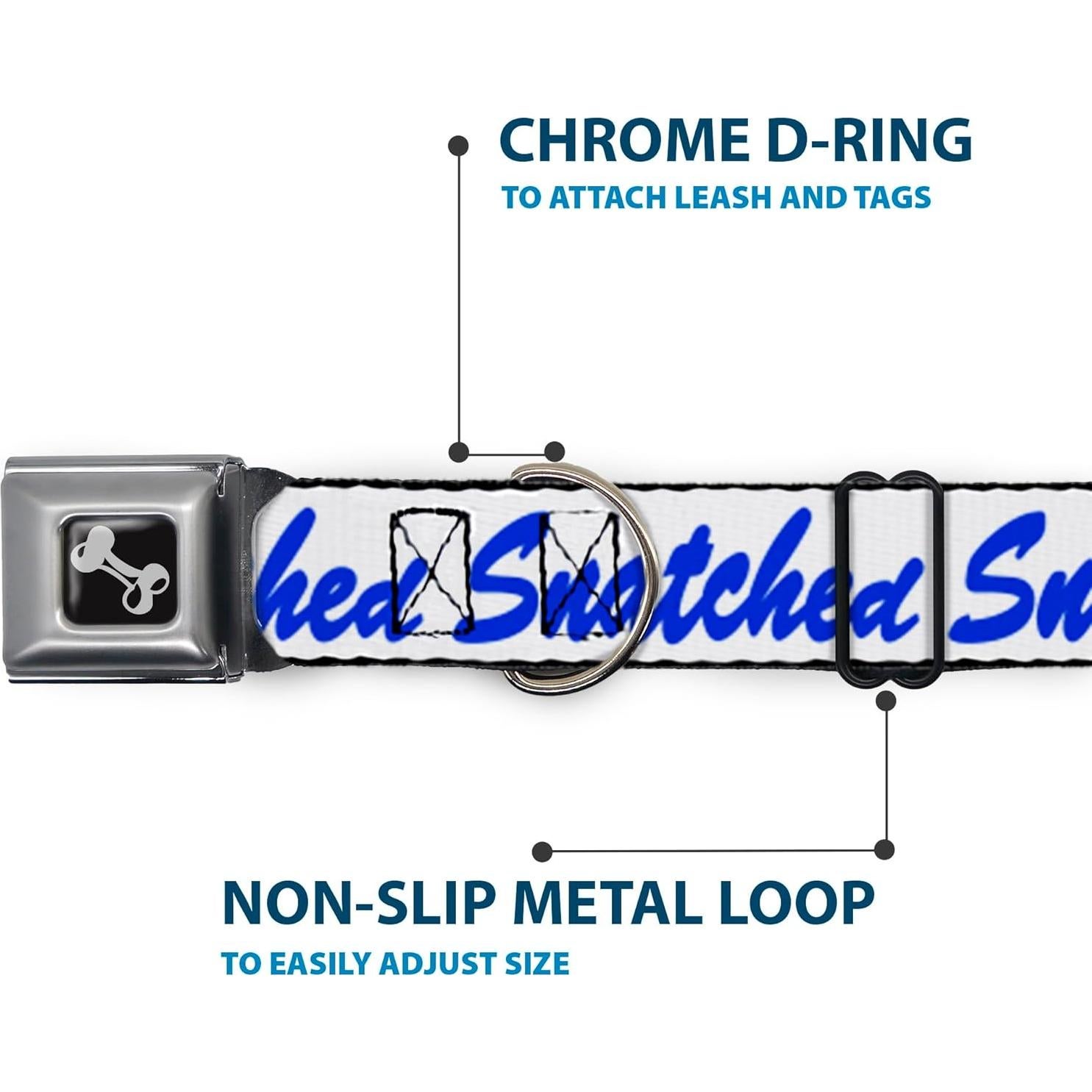 Collar de Perro Buckle-Down con Hebilla de Seguridad 24.1-33 cm