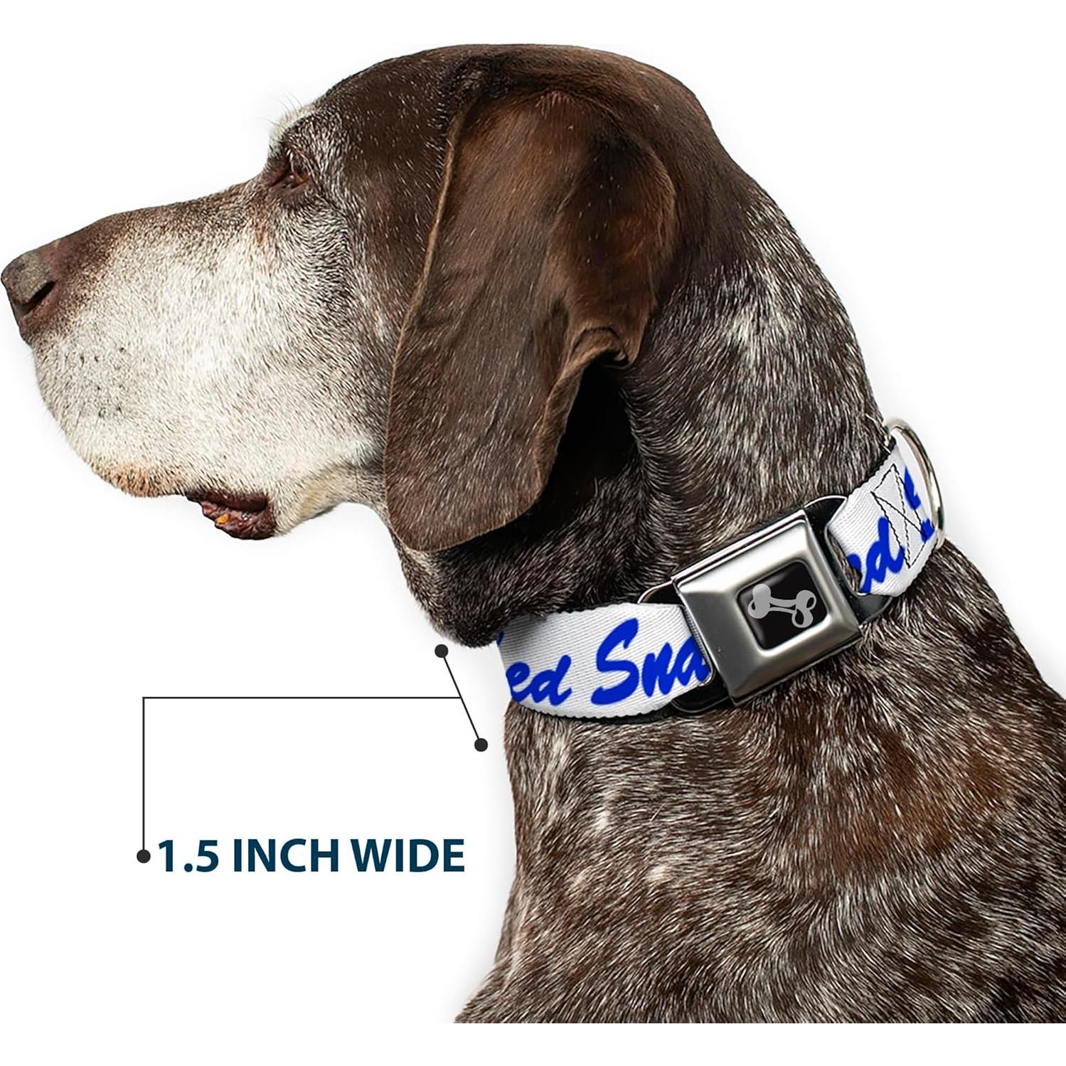Collar de Perro Buckle-Down con Hebilla de Seguridad 24.1-33 cm