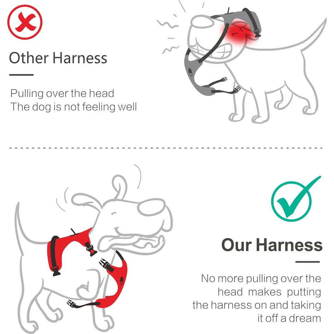 Arnés para Perros PoyPet XS Ajustable Reflectante Azul Menta