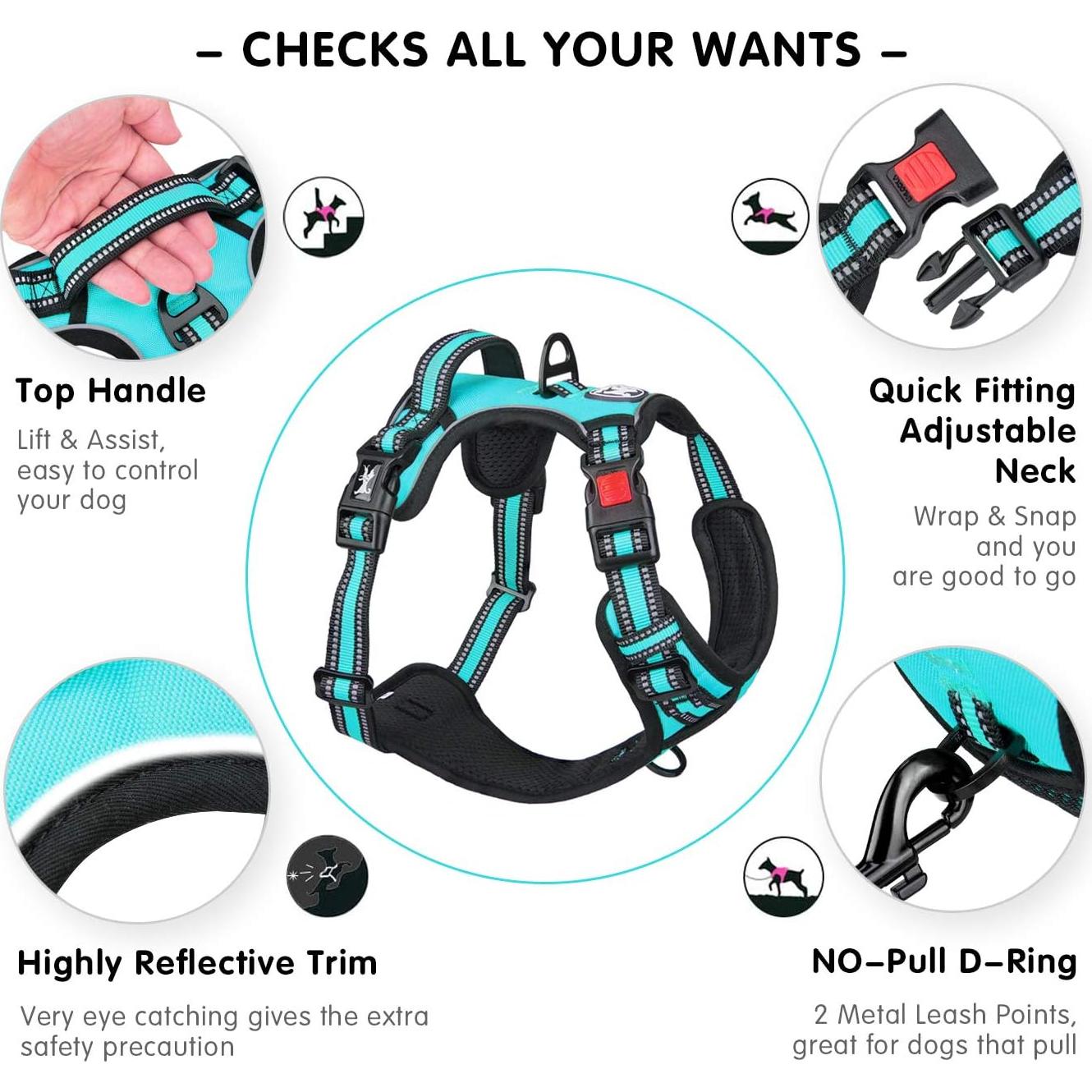 Arnés para Perros PoyPet XS Ajustable Reflectante Azul Menta