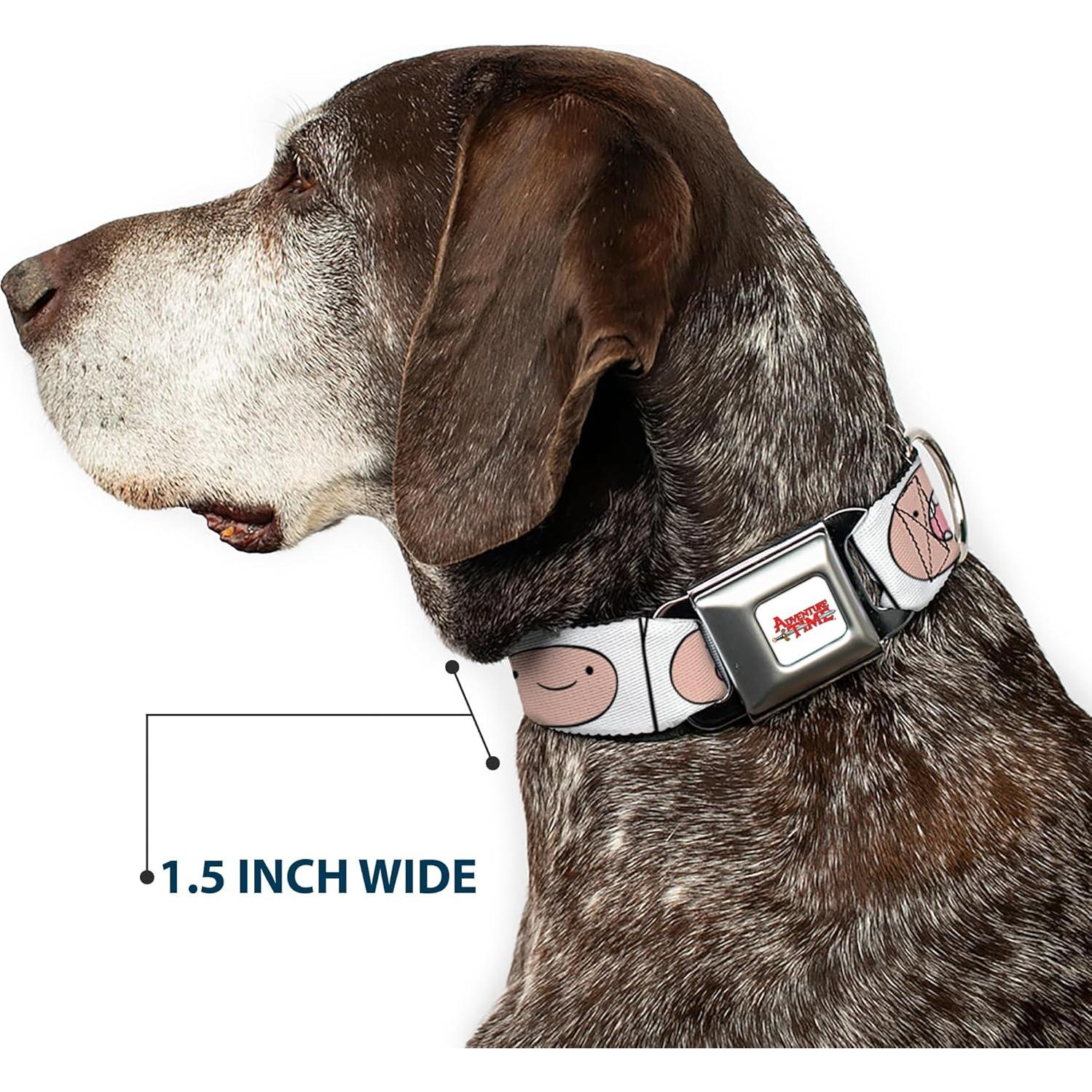 Collar para perro de cinturón de seguridad Buckle-Down 40-58 cm