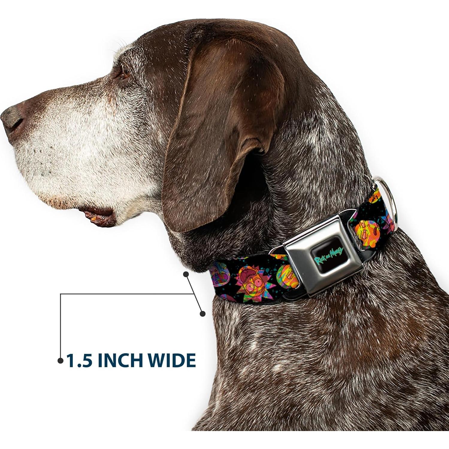 Collar para Perro Rick y Morty con Hebilla de Seguridad 27.9-41.9 cm