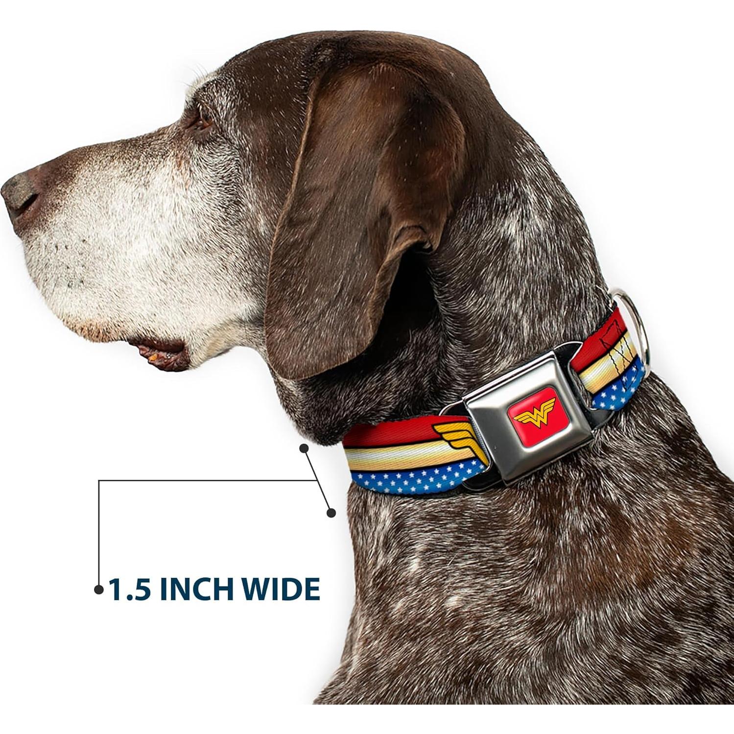 Collar de Perro Buckle-Down Wonder Woman 33-46 cm Multicolor
