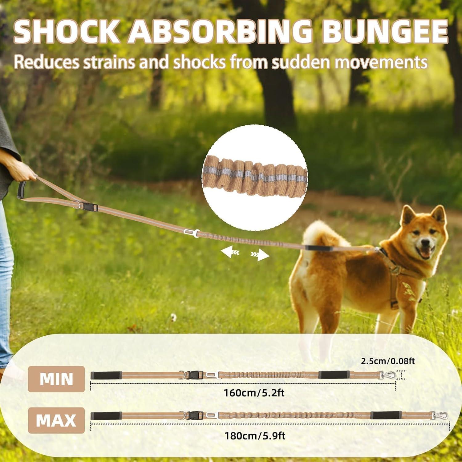 Correa Bungee para Perro PUPTECK con Doble Mango y Reflectante