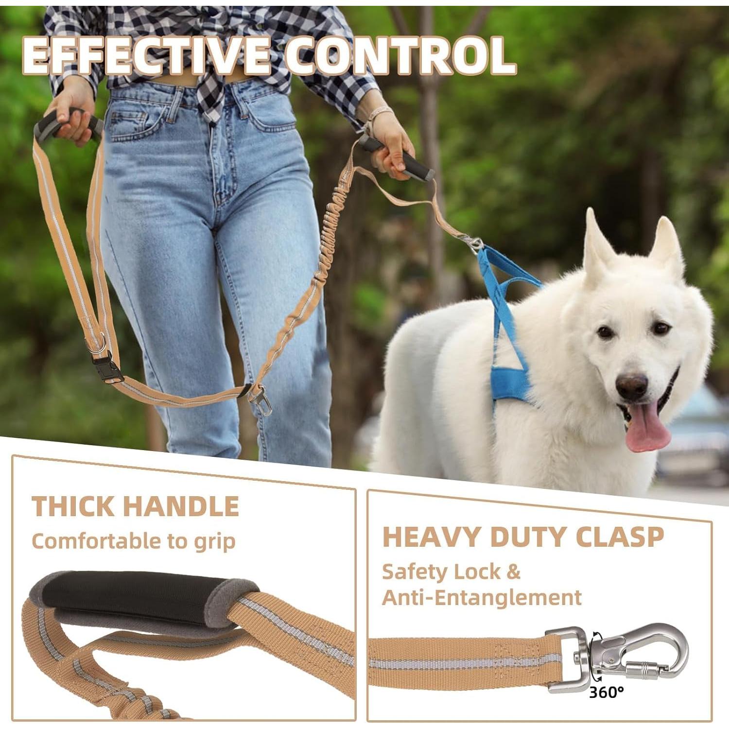 Correa Bungee para Perro PUPTECK con Doble Mango y Reflectante